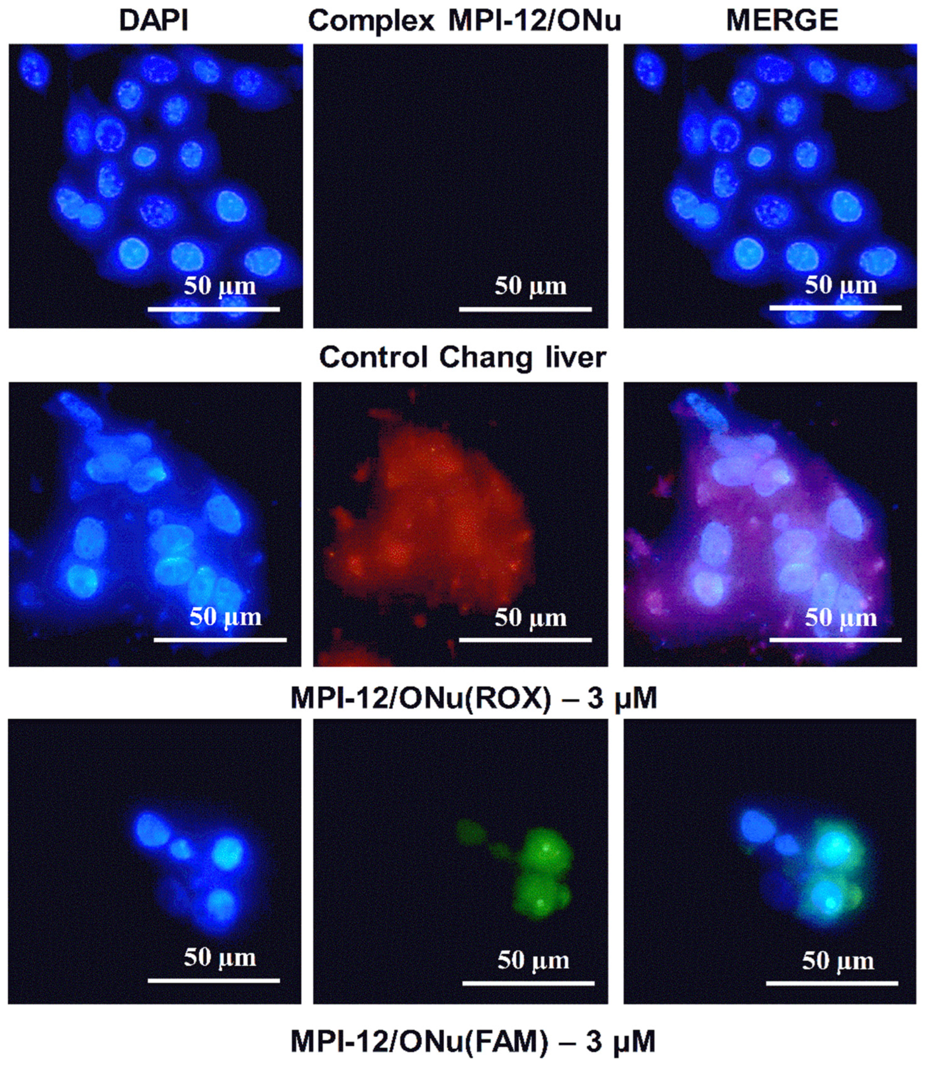 Pharmaceutics 14 02685 g014