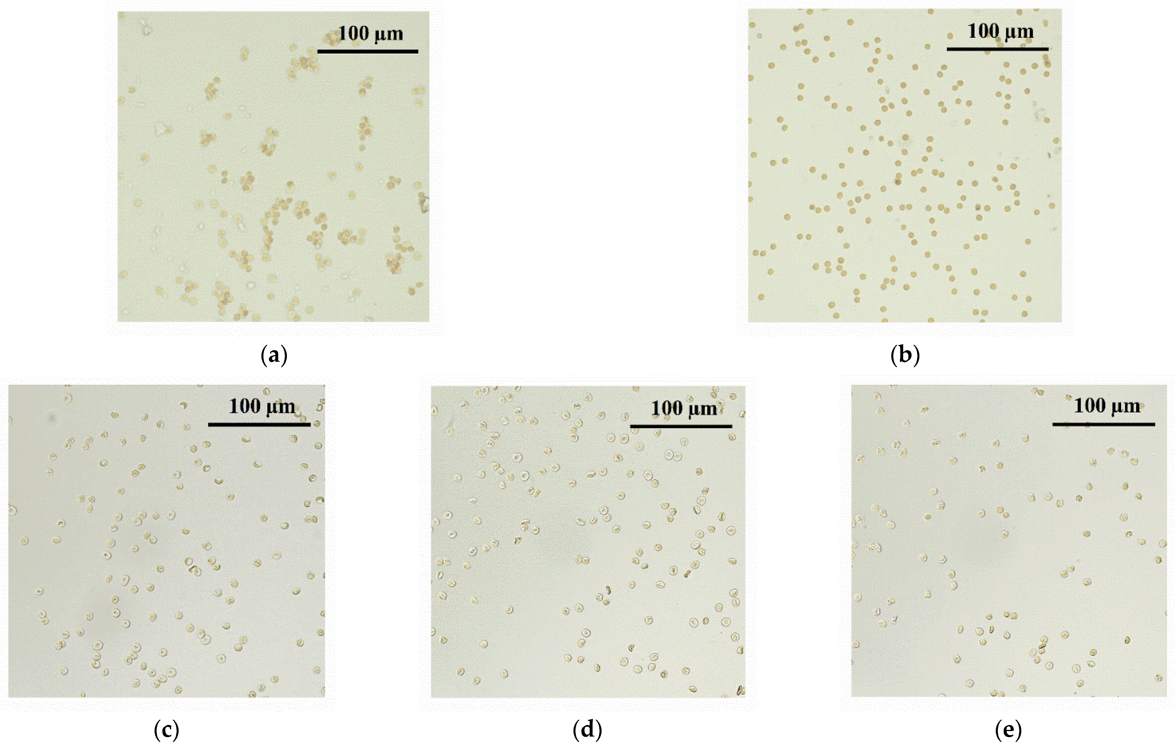 Pharmaceutics 14 02685 g016