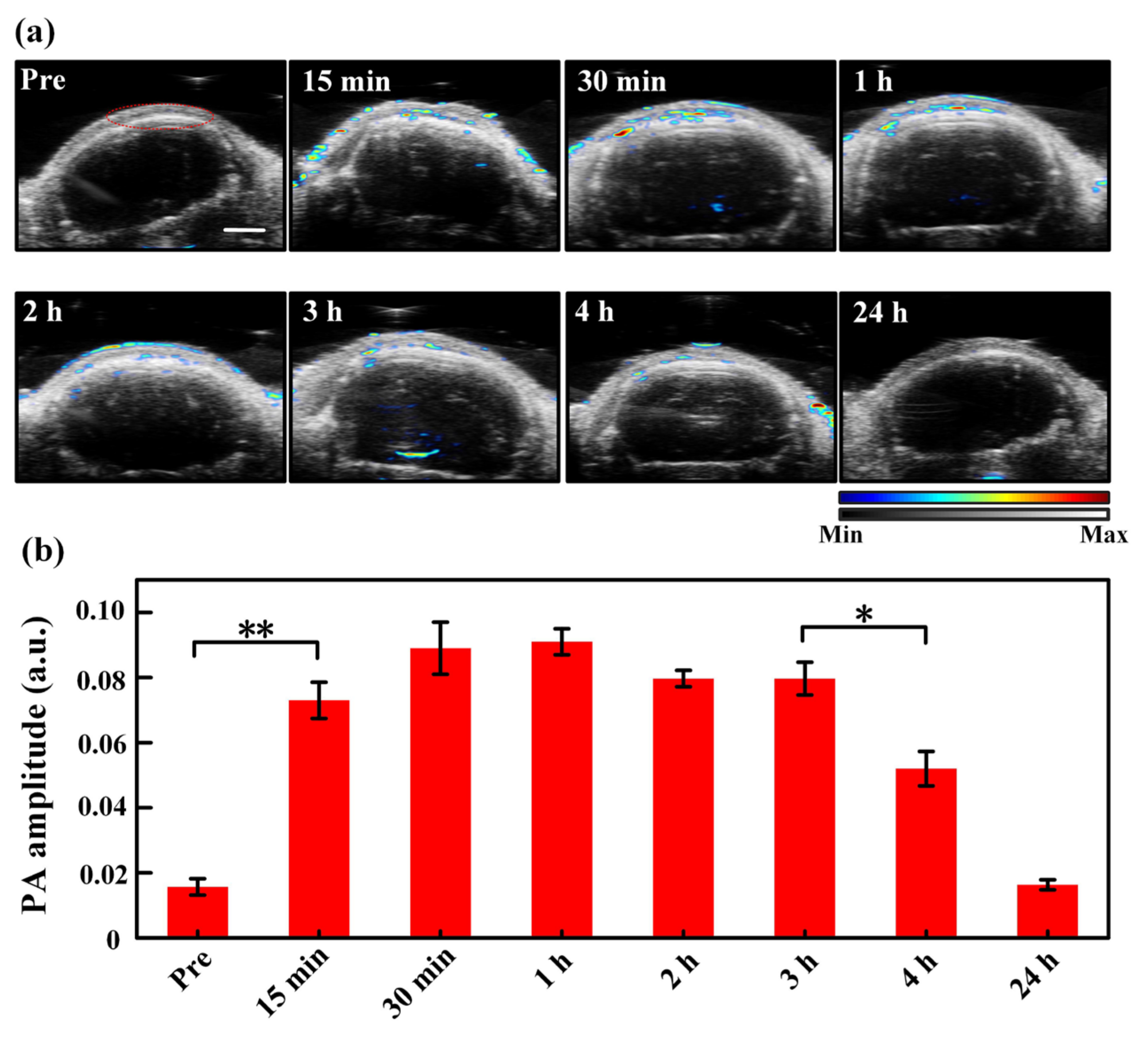 Pharmaceutics 14 02689 g004 Pharmaceutics 14 02689 g004
