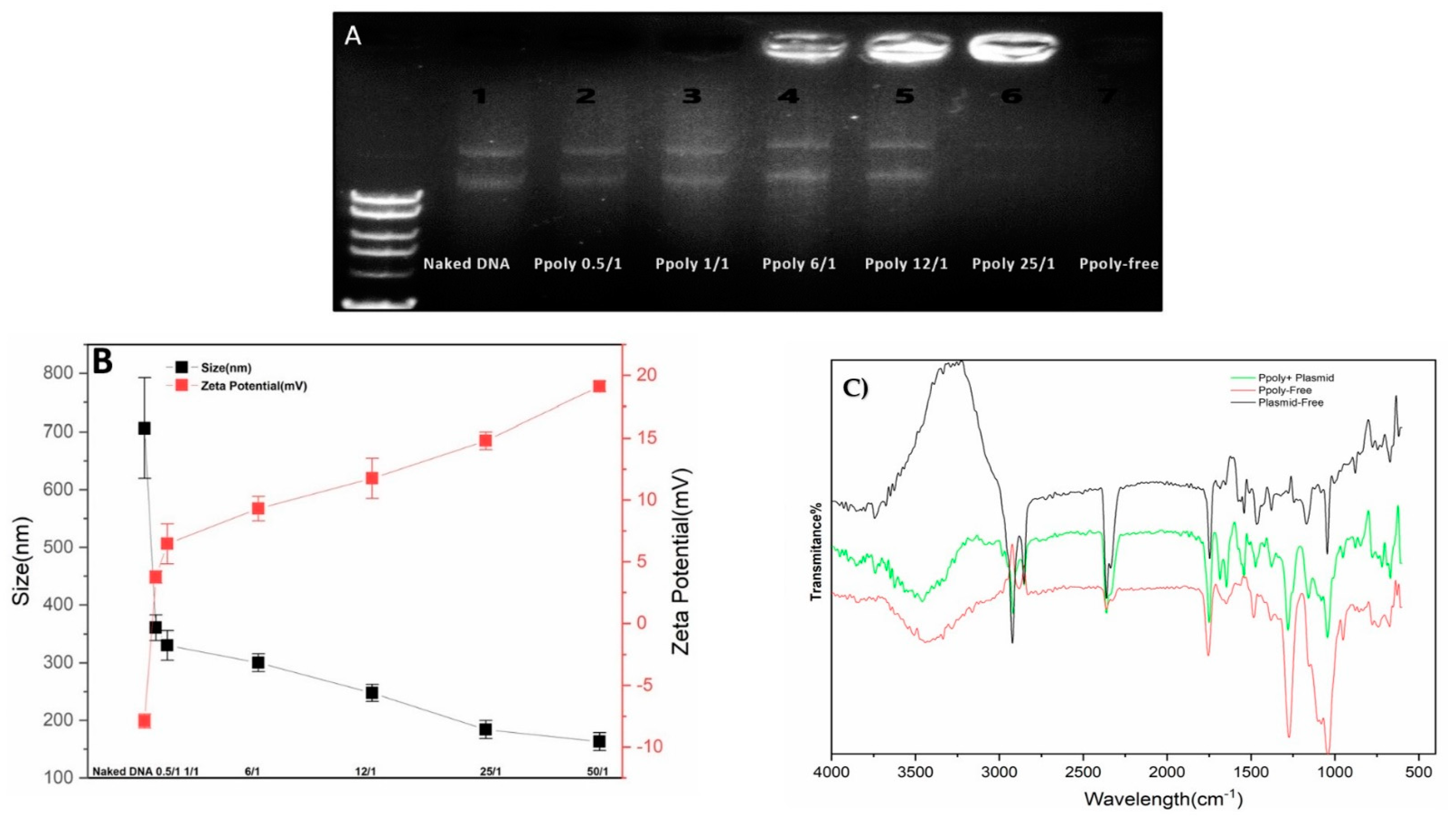 Pharmaceutics 14 02690 g002 Pharmaceutics 14 02690 g002