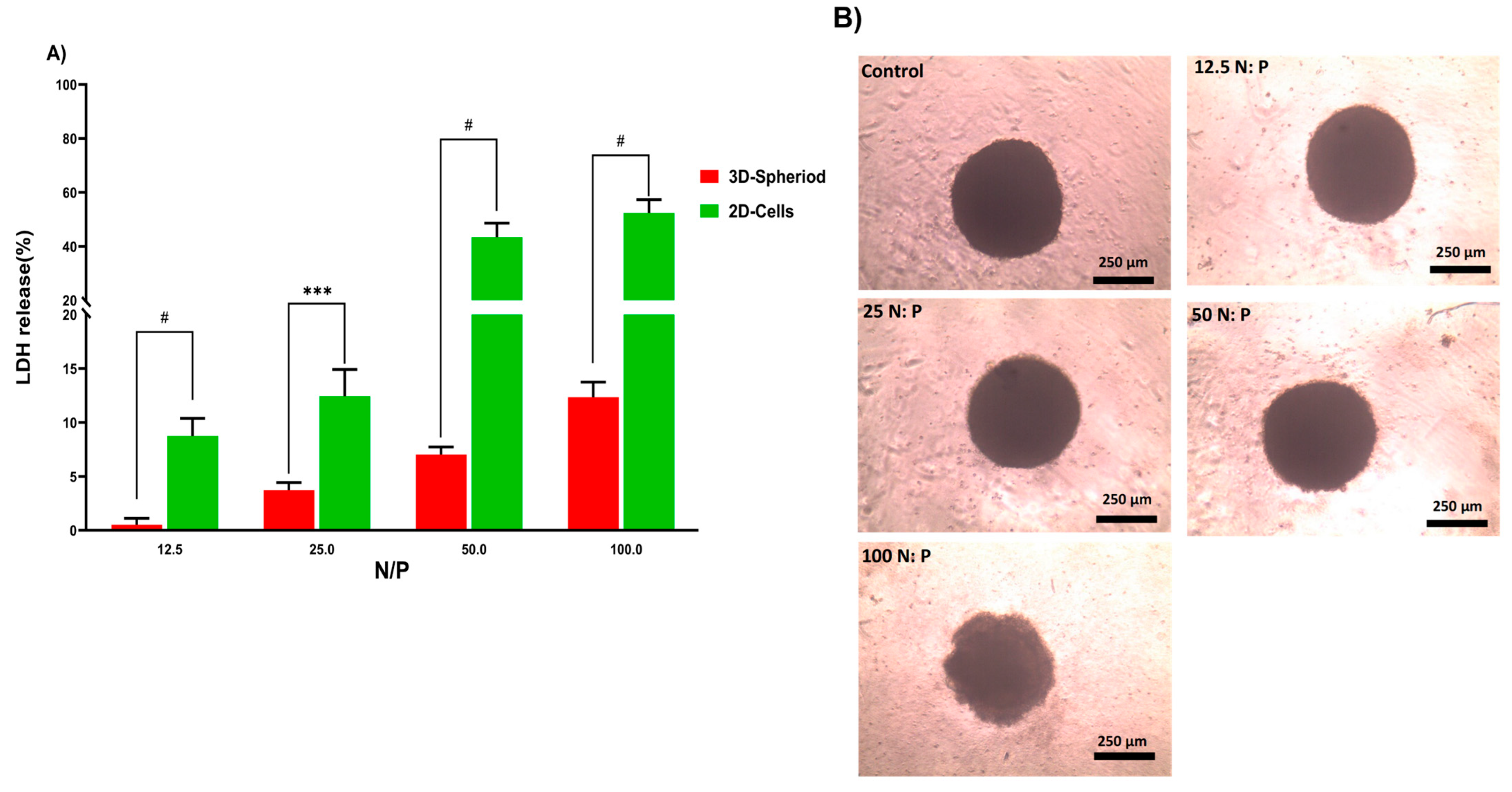 Pharmaceutics 14 02690 g005 Pharmaceutics 14 02690 g005