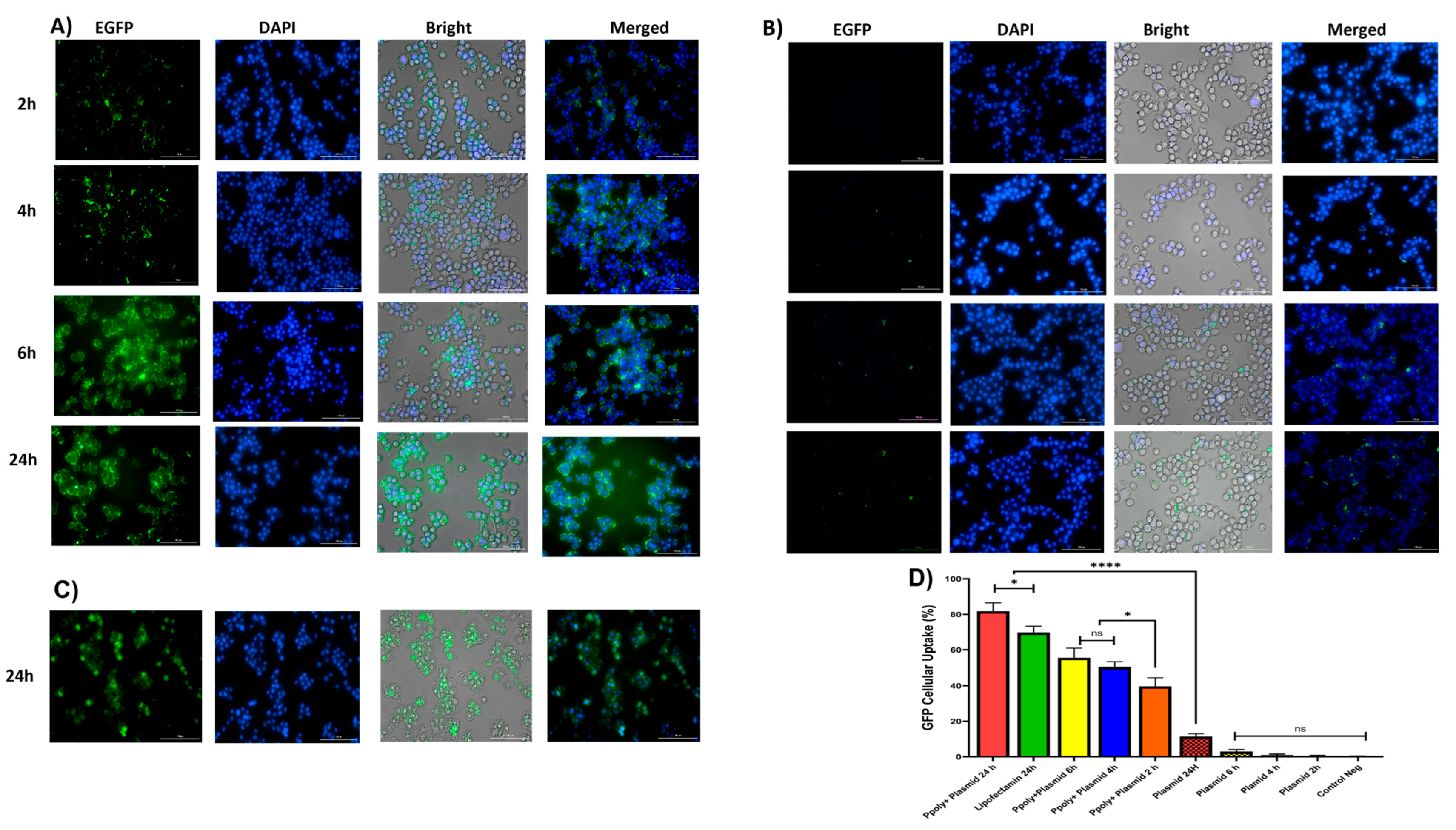 Pharmaceutics 14 02690 g006 Pharmaceutics 14 02690 g006