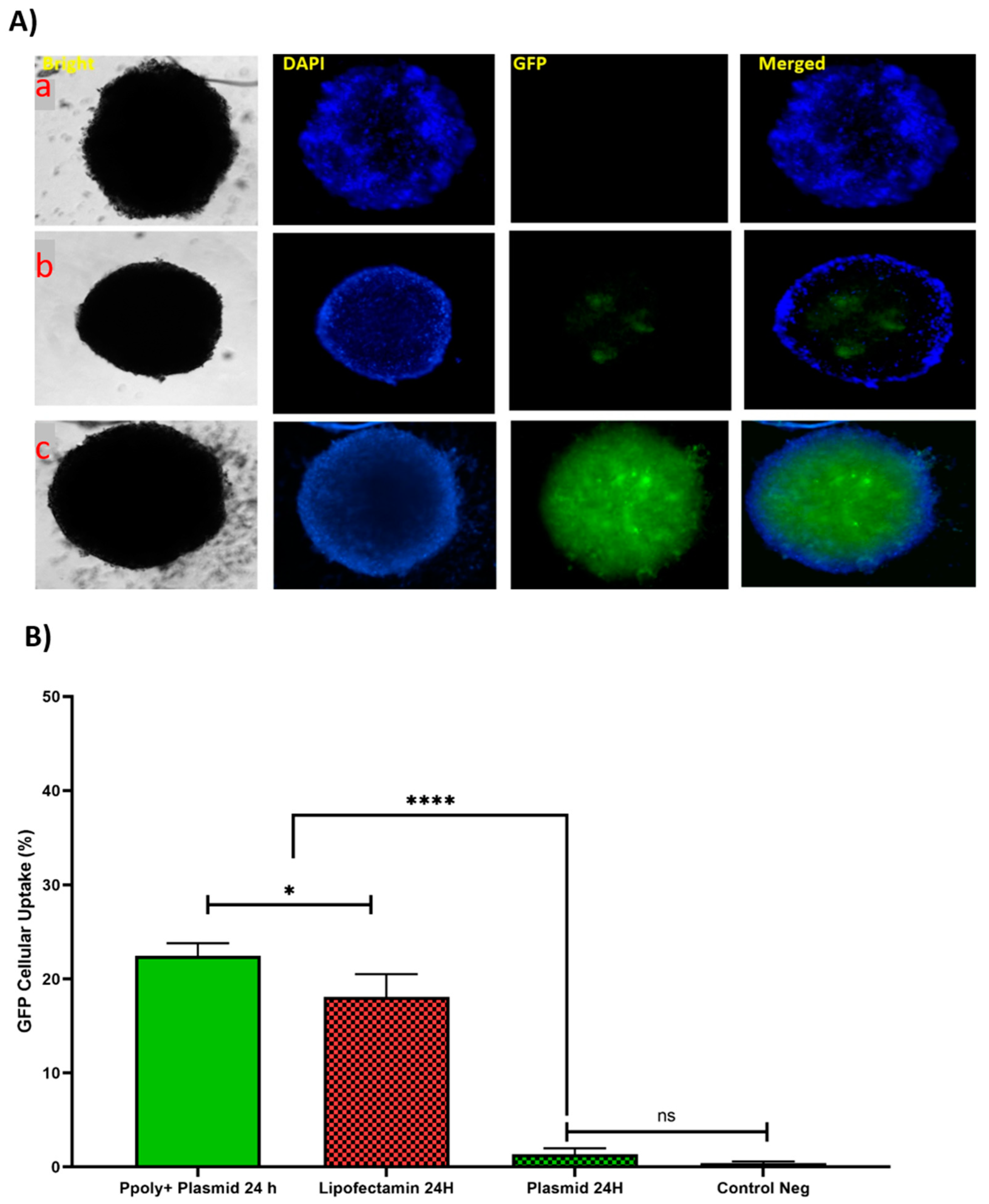 Pharmaceutics 14 02690 g007 Pharmaceutics 14 02690 g007