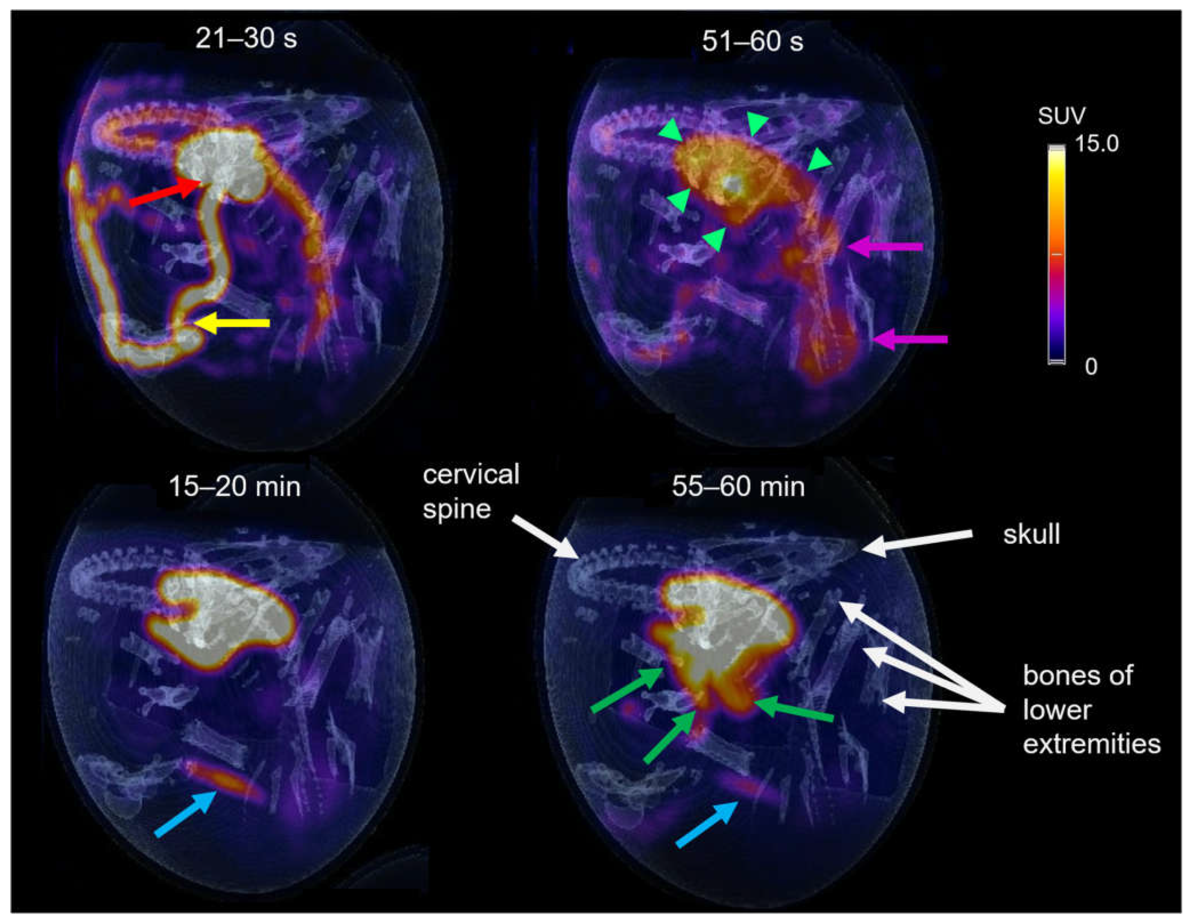 Pharmaceutics 14 02695 g007