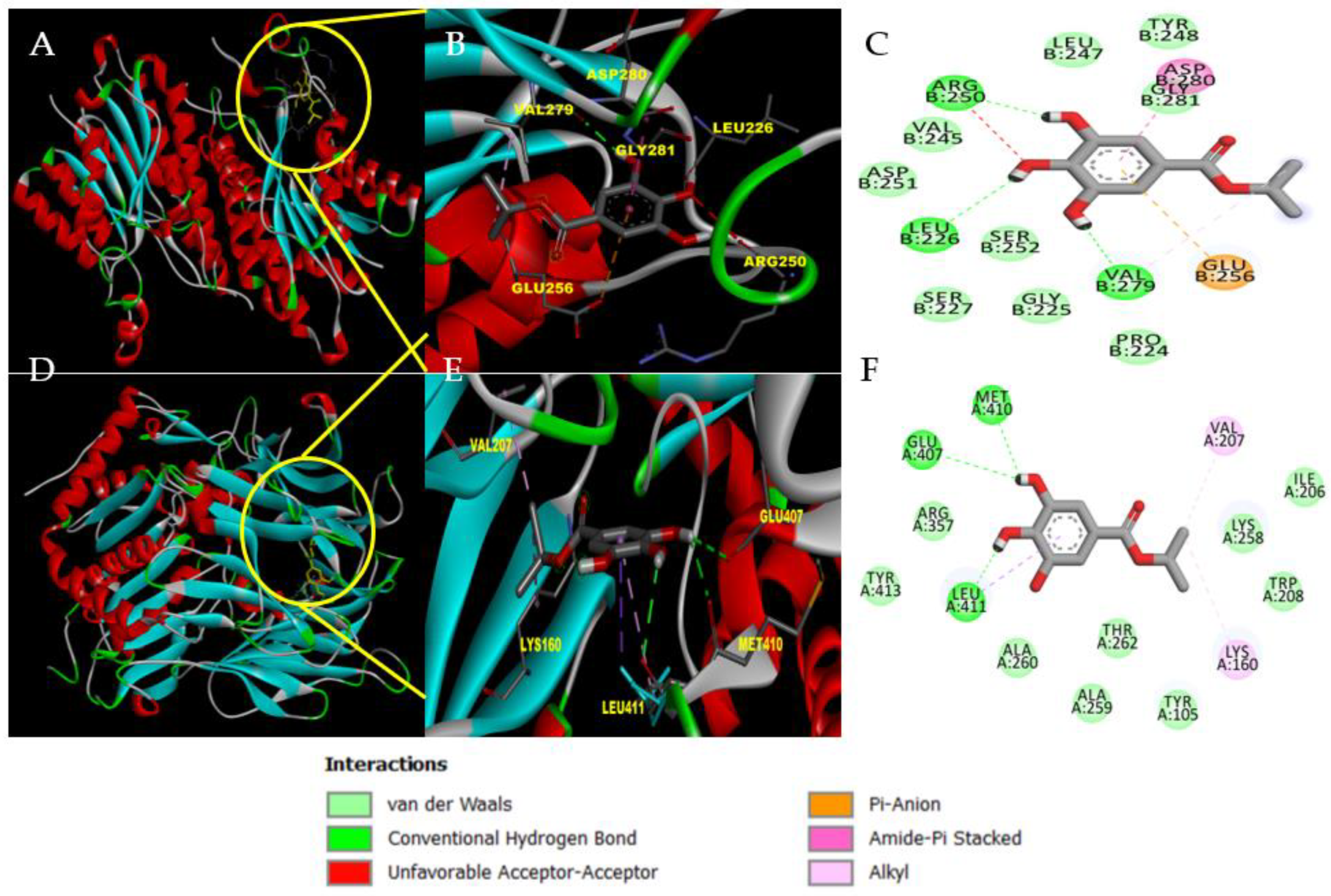 Pharmaceutics 14 02701 g003 Pharmaceutics 14 02701 g003