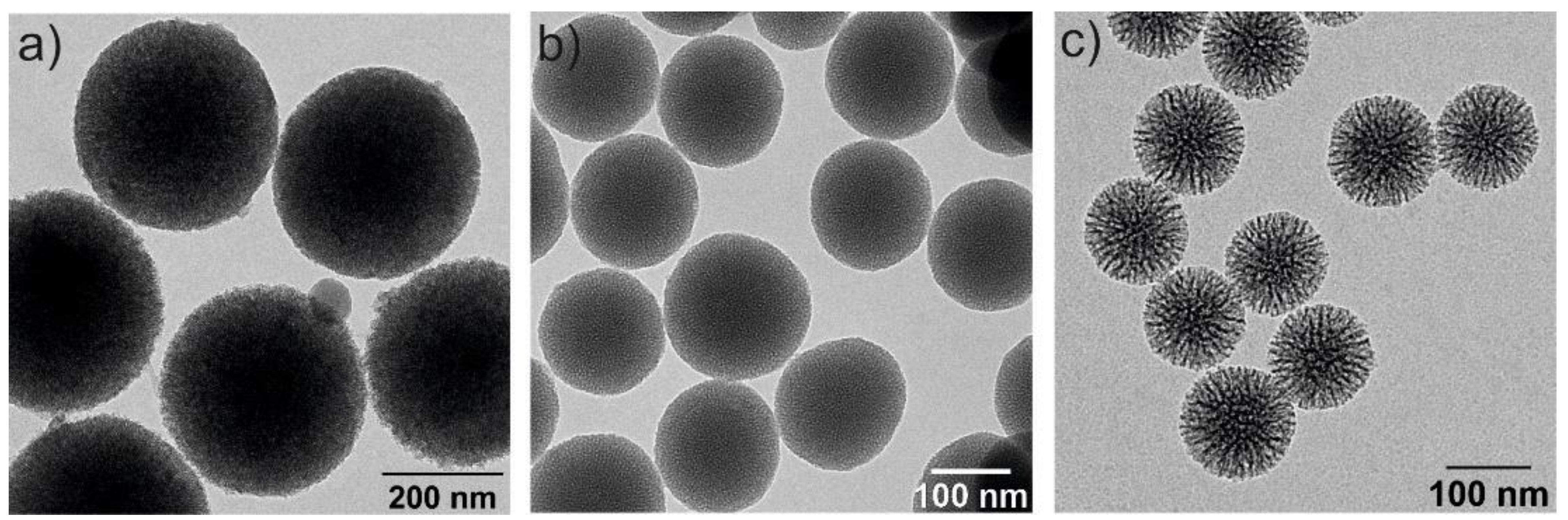 Pharmaceutics 14 02703 g003 Pharmaceutics 14 02703 g003