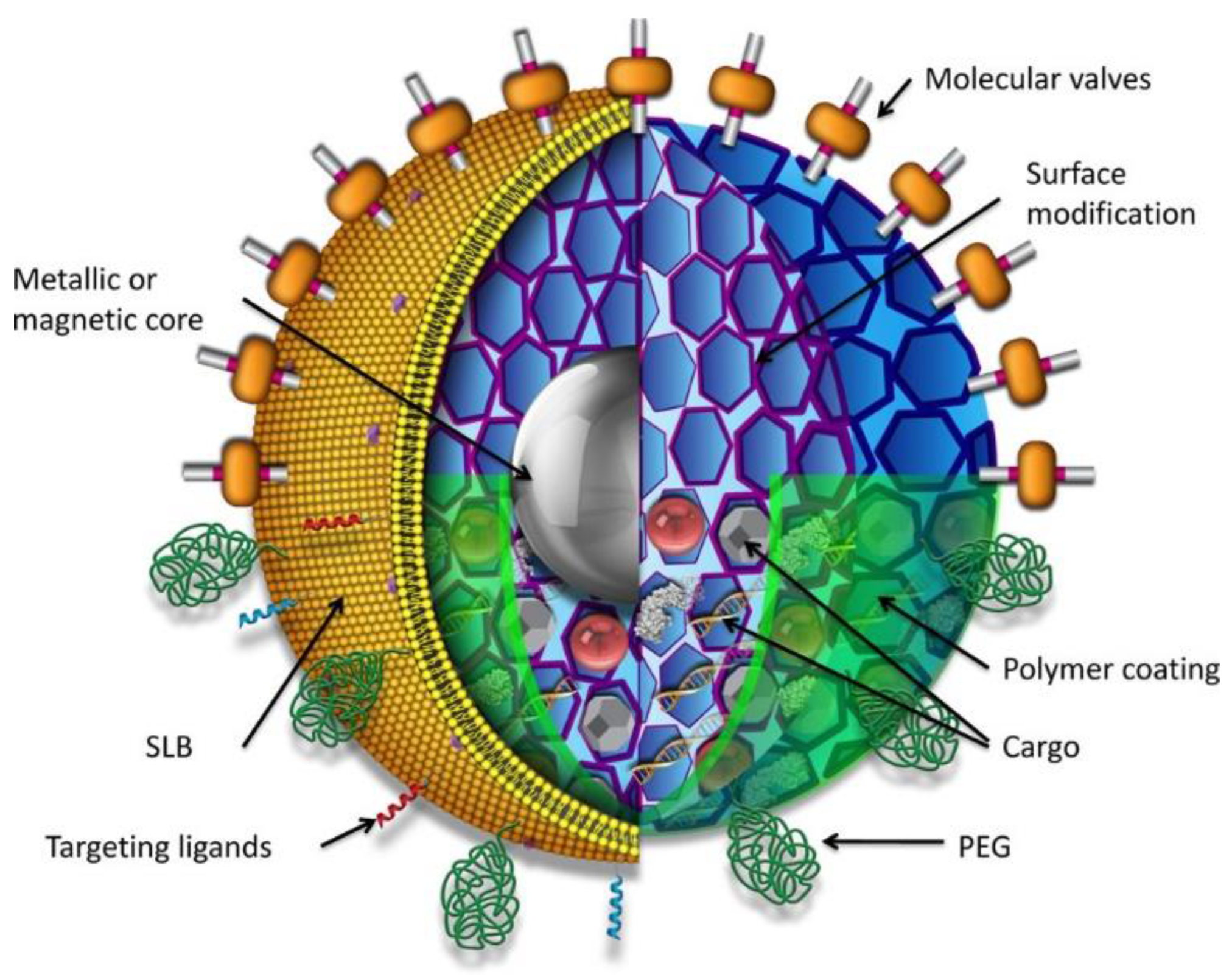 Pharmaceutics 14 02703 g007 Pharmaceutics 14 02703 g007