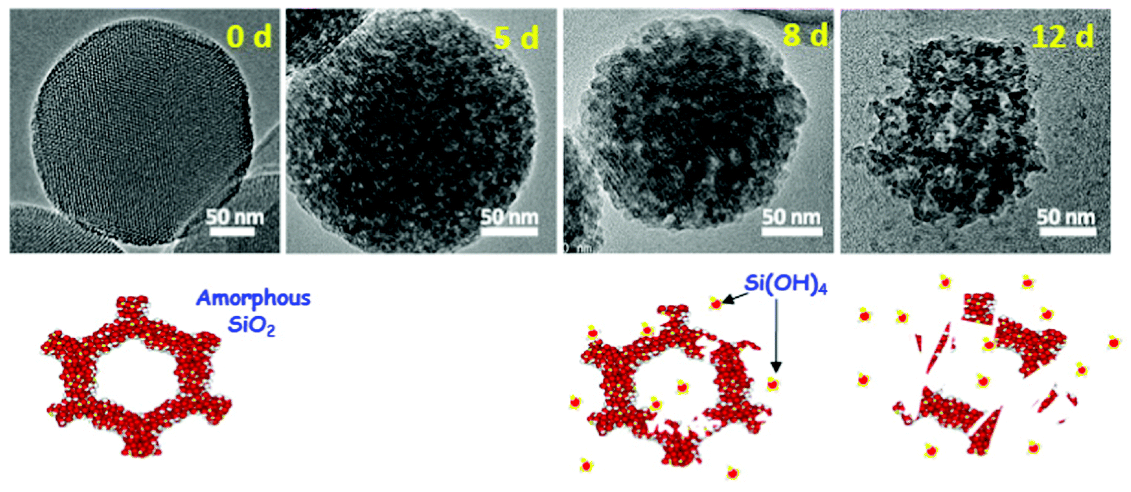 Pharmaceutics 14 02703 g010 Pharmaceutics 14 02703 g010