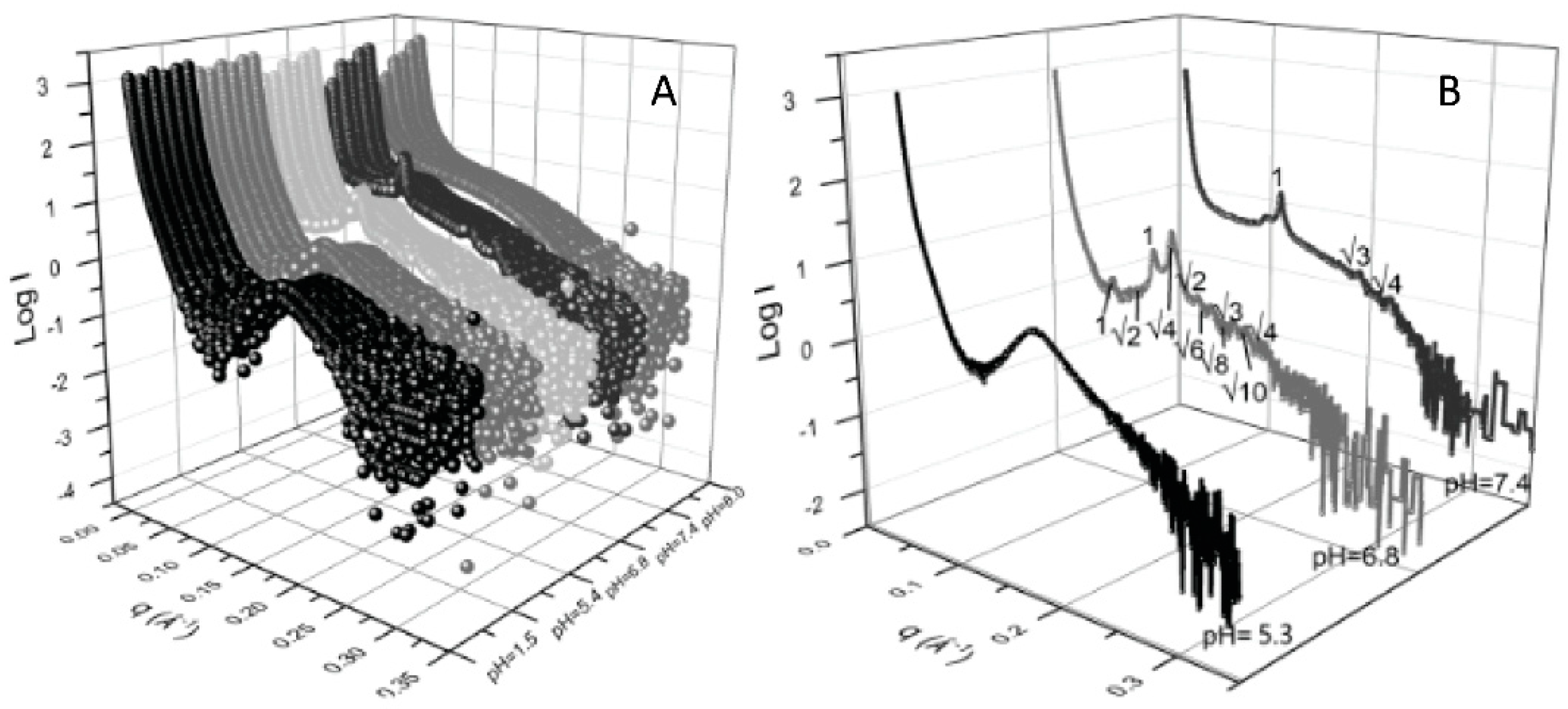 Pharmaceutics 14 02704 g002 Pharmaceutics 14 02704 g002