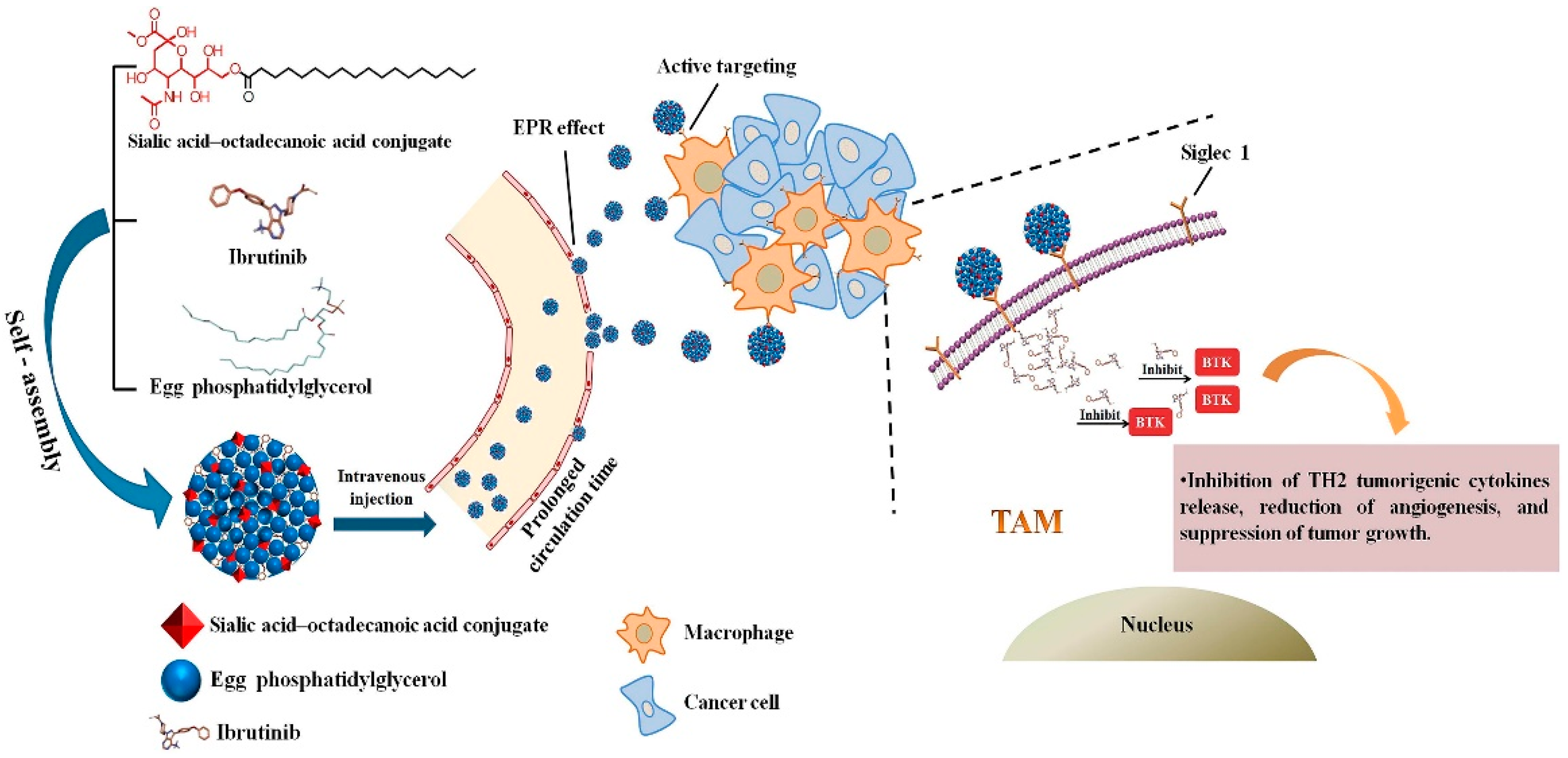 Pharmaceutics 14 02708 g004