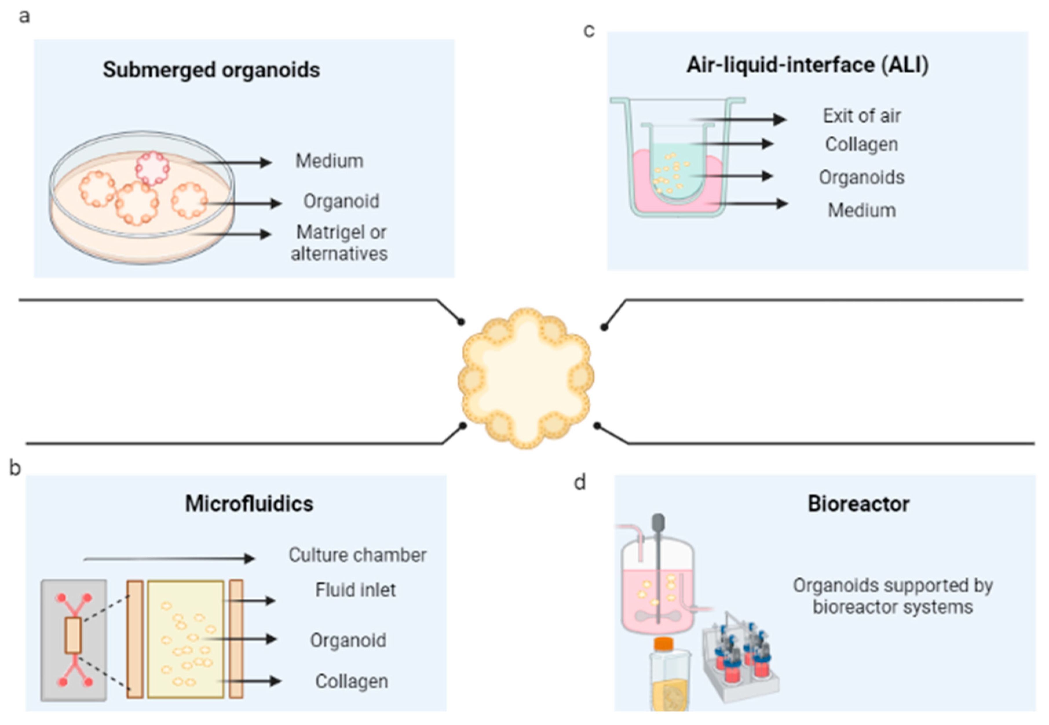 Pharmaceutics 14 02709 g004
