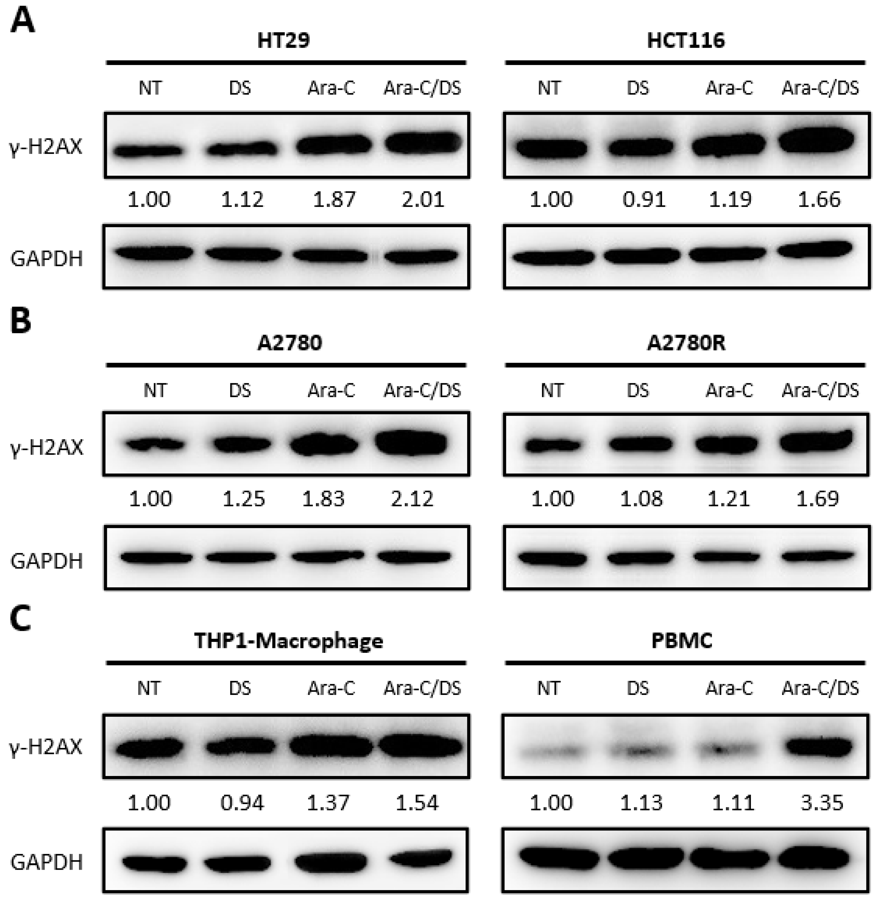 Pharmaceutics 14 02710 g003