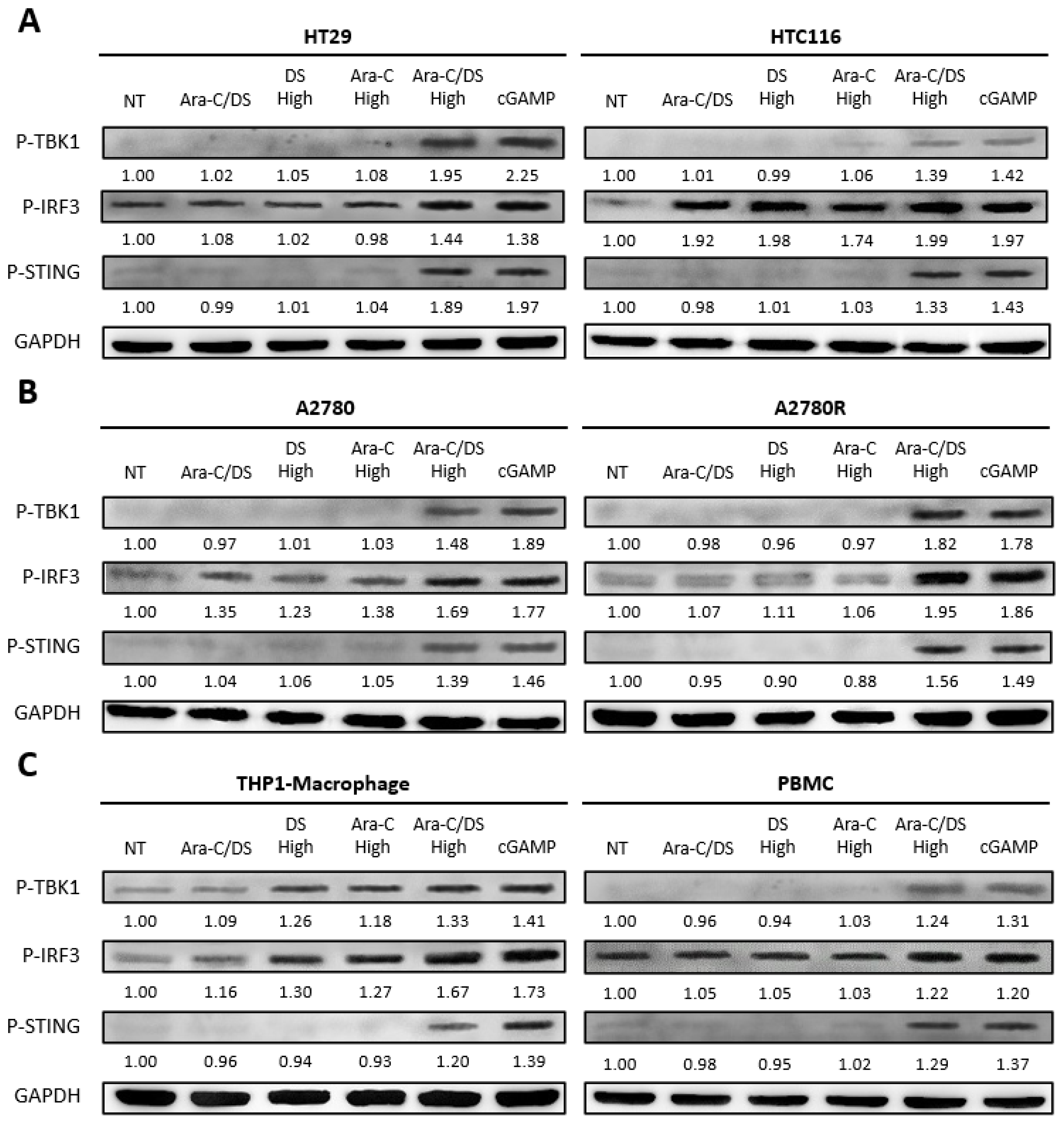 Pharmaceutics 14 02710 g004