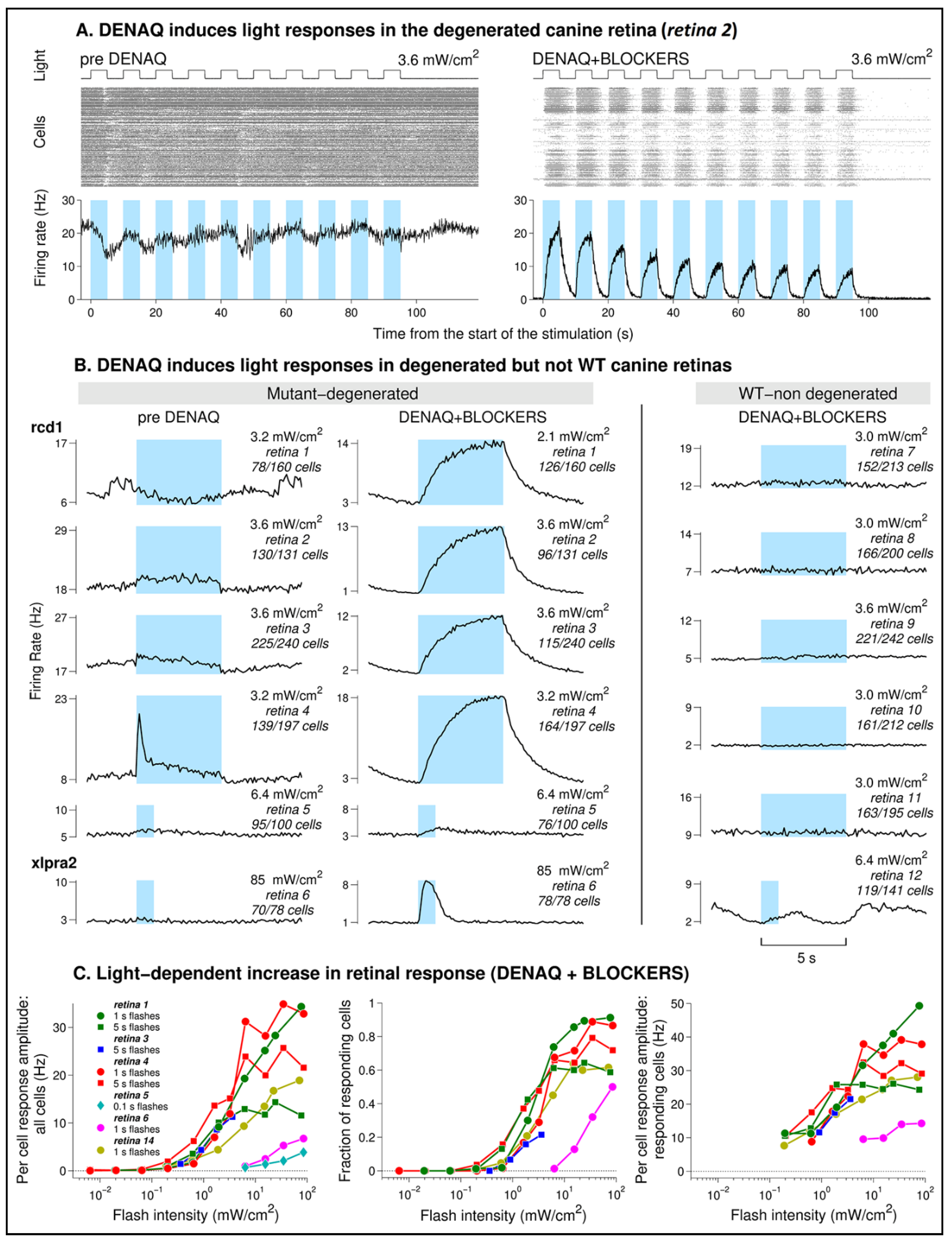 Pharmaceutics 14 02711 g001 Pharmaceutics 14 02711 g001