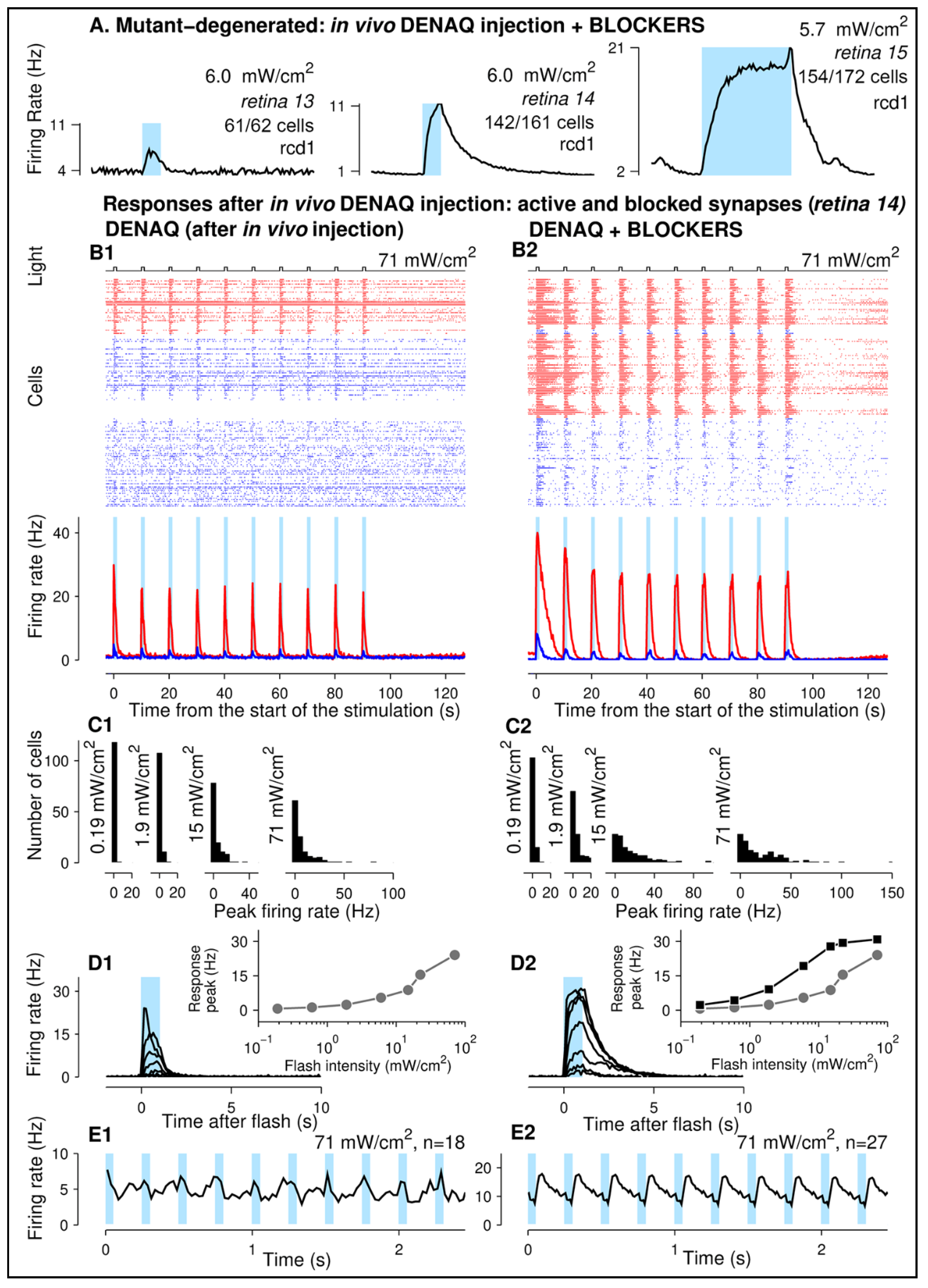 Pharmaceutics 14 02711 g003 Pharmaceutics 14 02711 g003