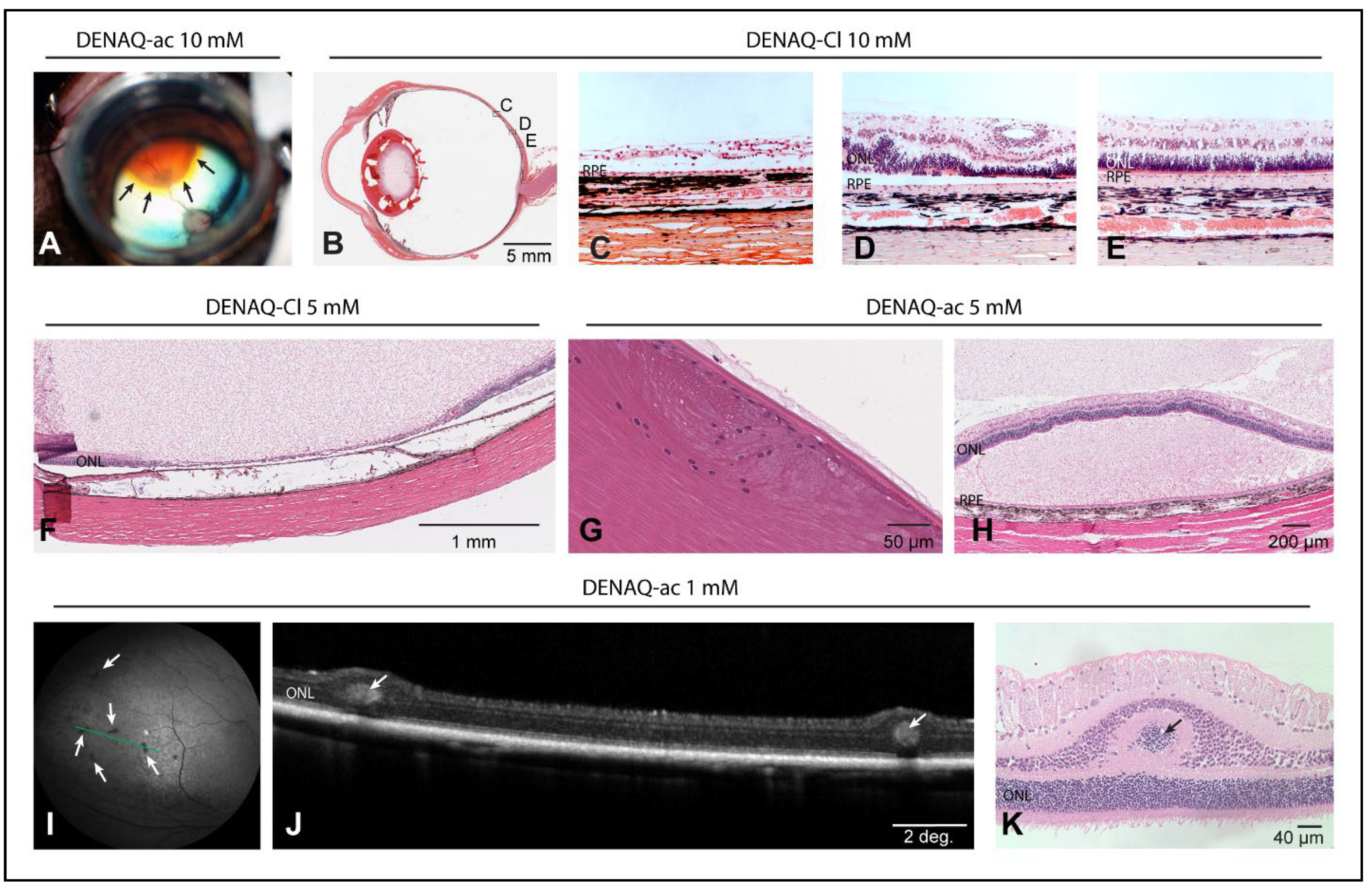 Pharmaceutics 14 02711 g005 Pharmaceutics 14 02711 g005