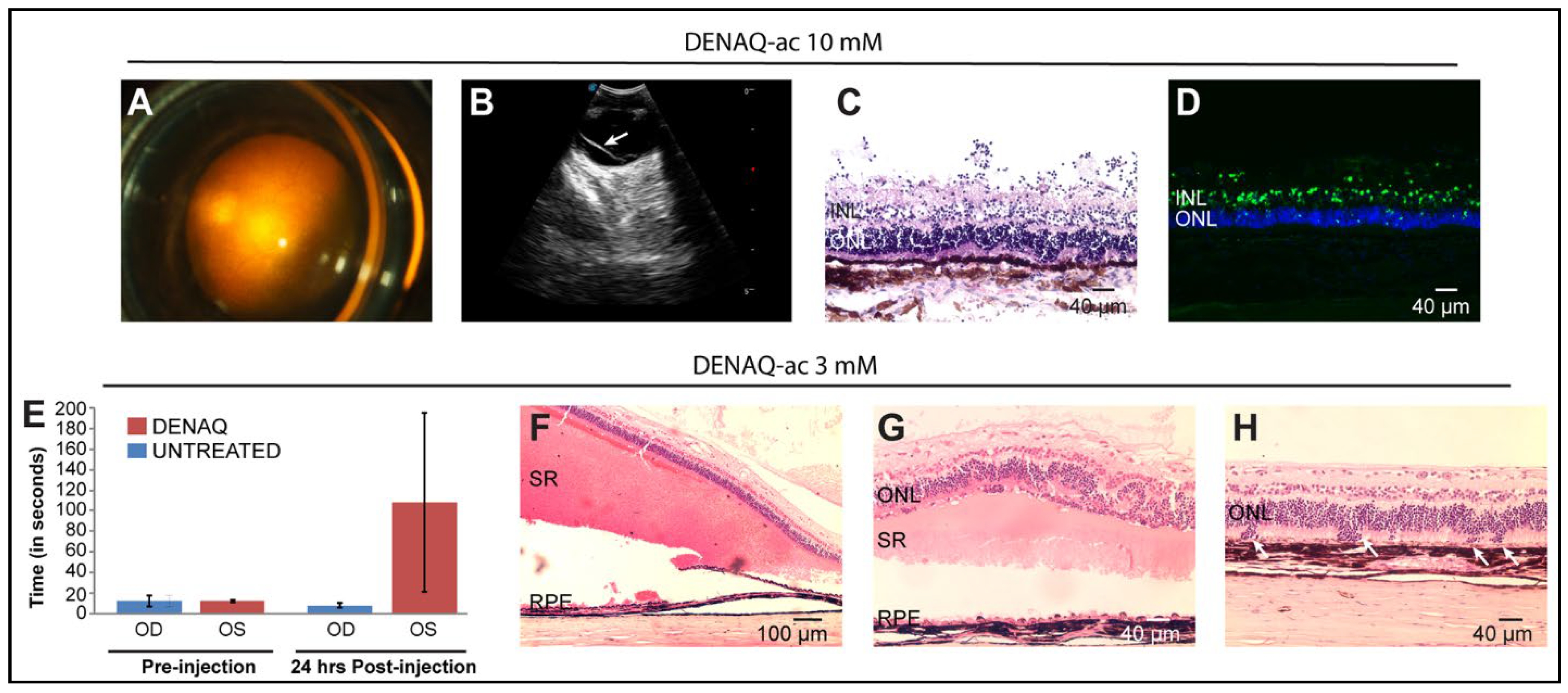 Pharmaceutics 14 02711 g006 Pharmaceutics 14 02711 g006