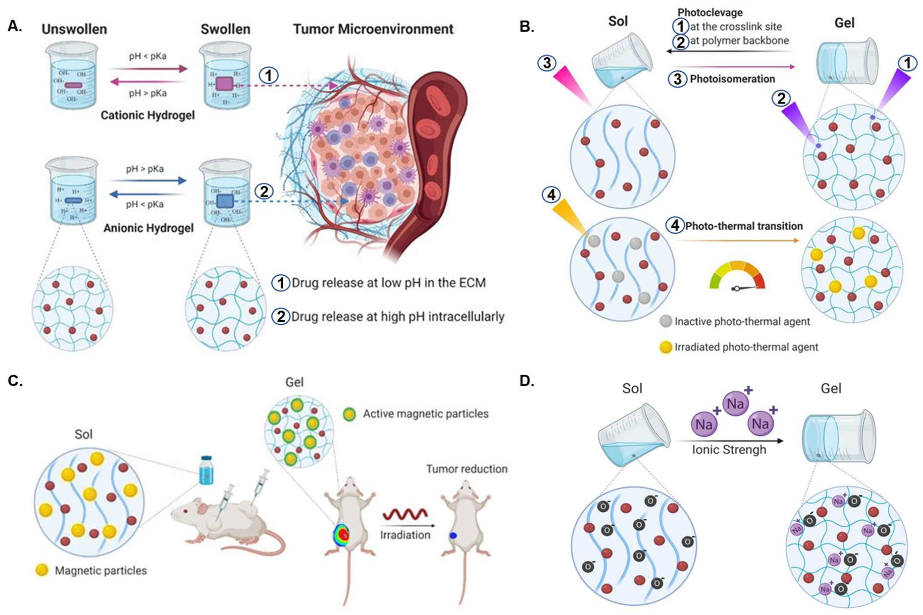 Pharmaceutics 14 02712 g002