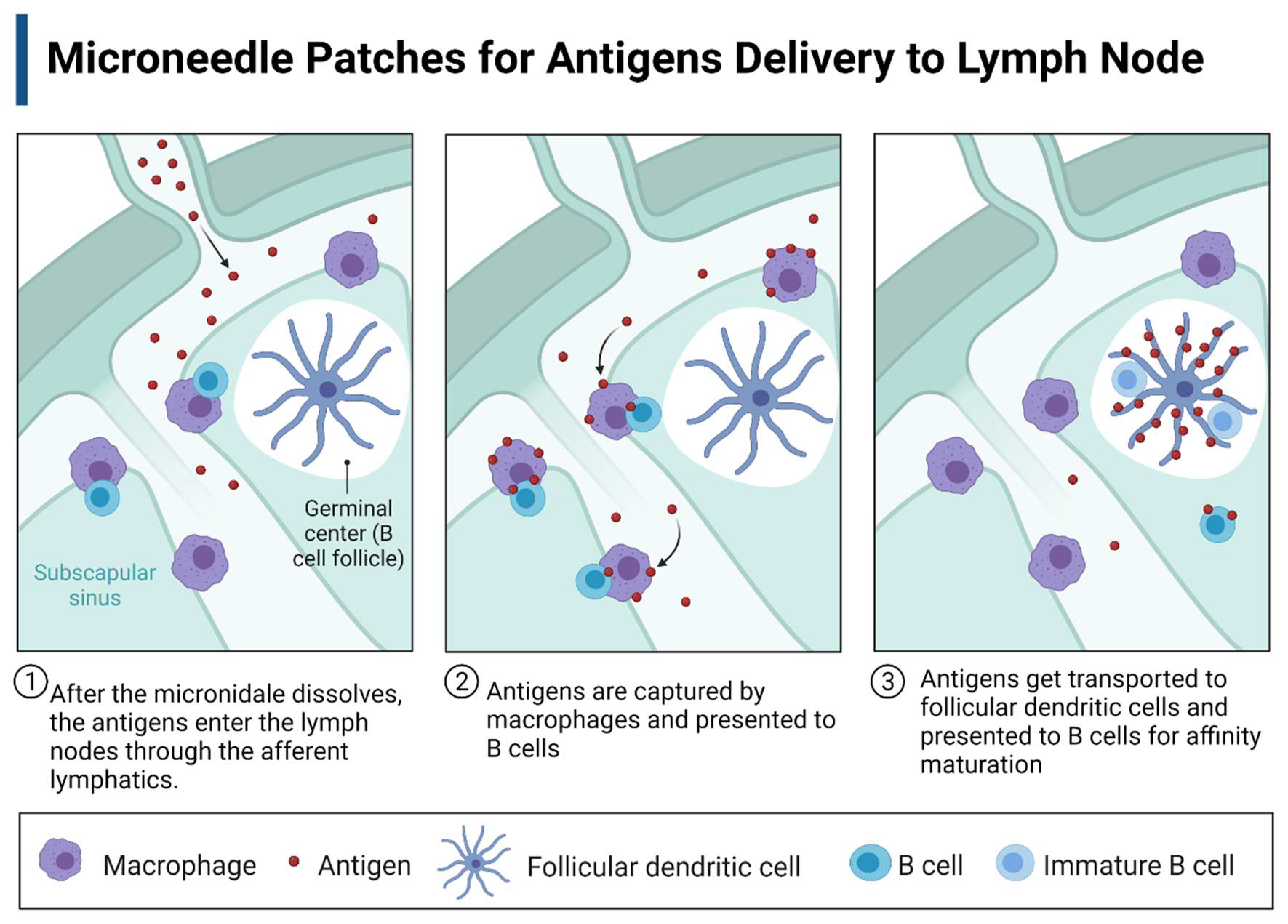 Pharmaceutics 14 02712 g003