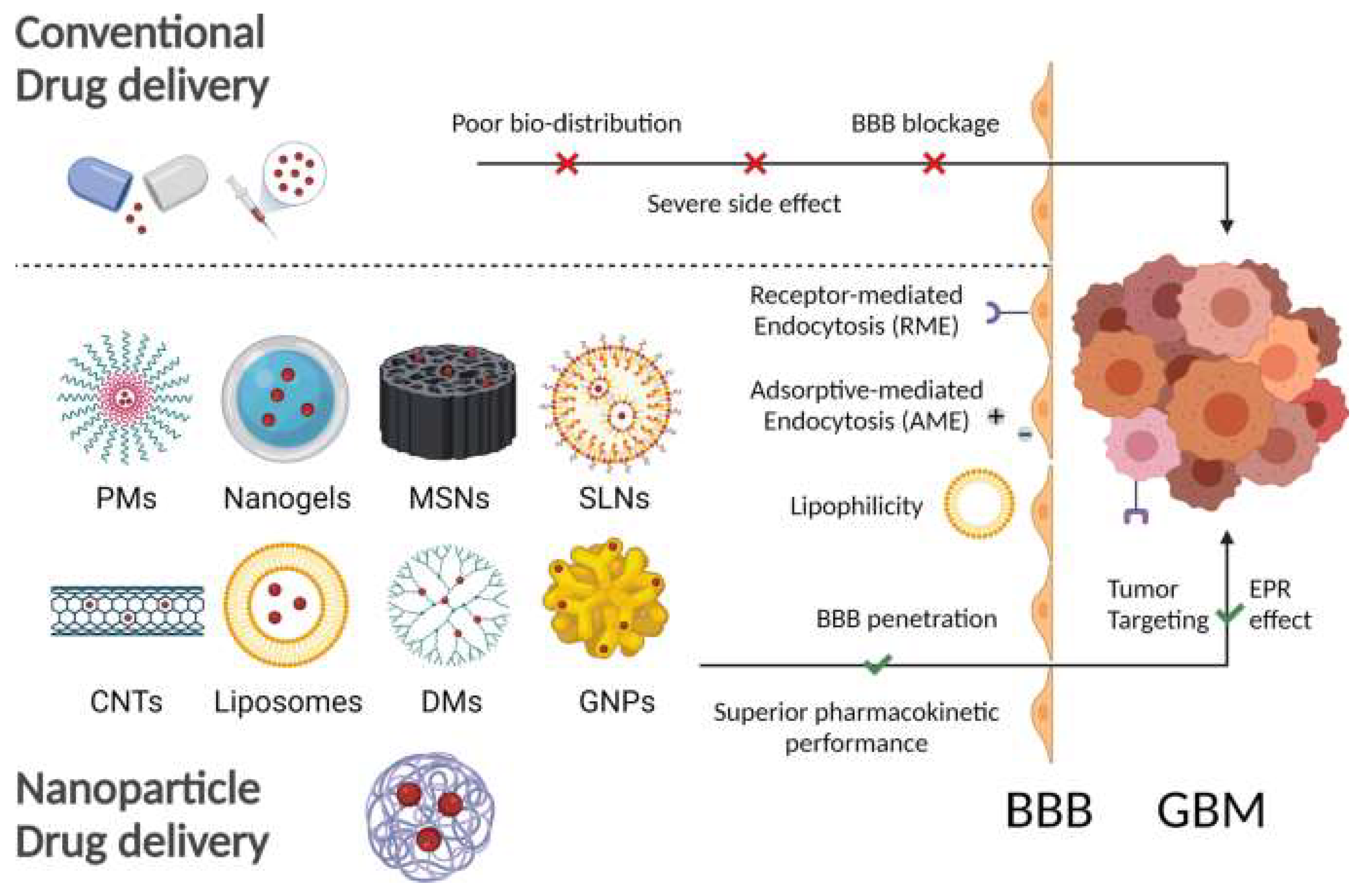 Pharmaceutics 14 02712 g005