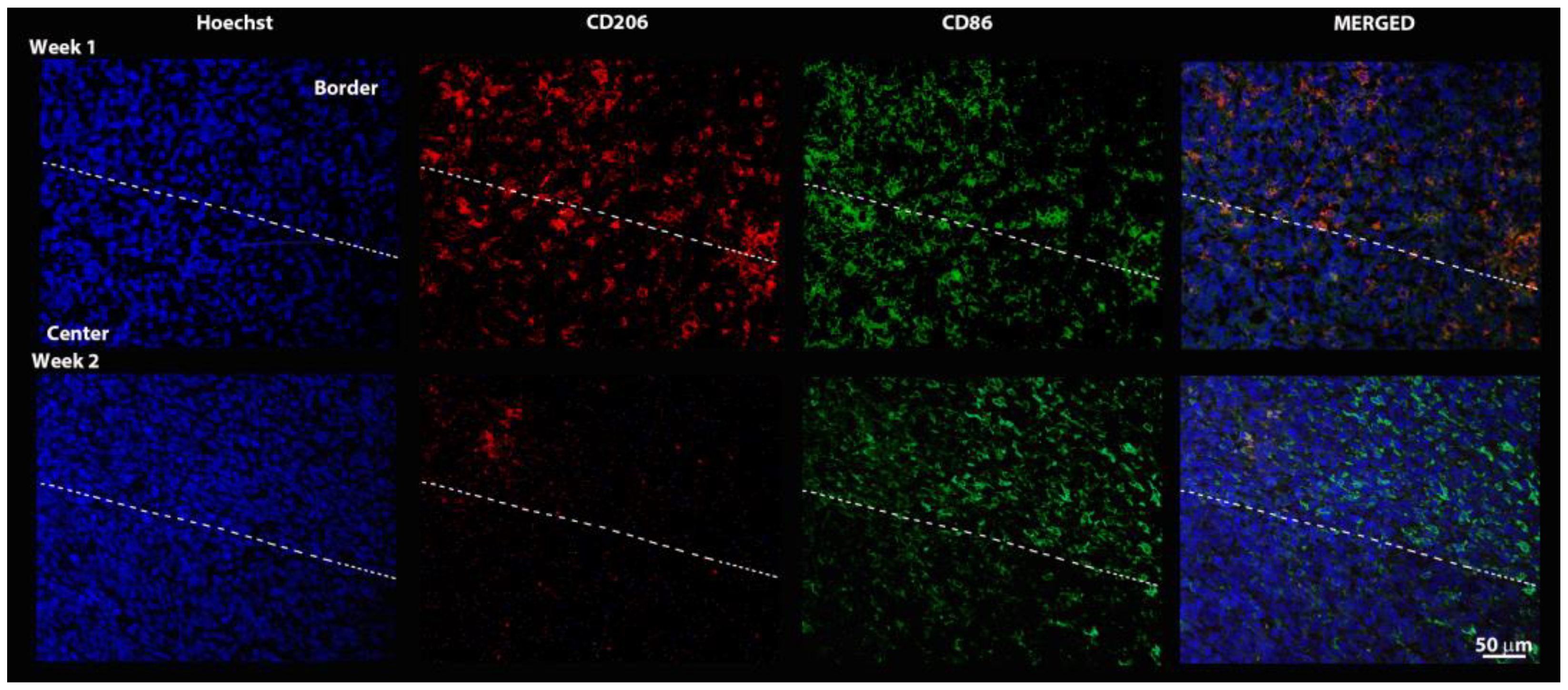 Pharmaceutics 14 02715 g008