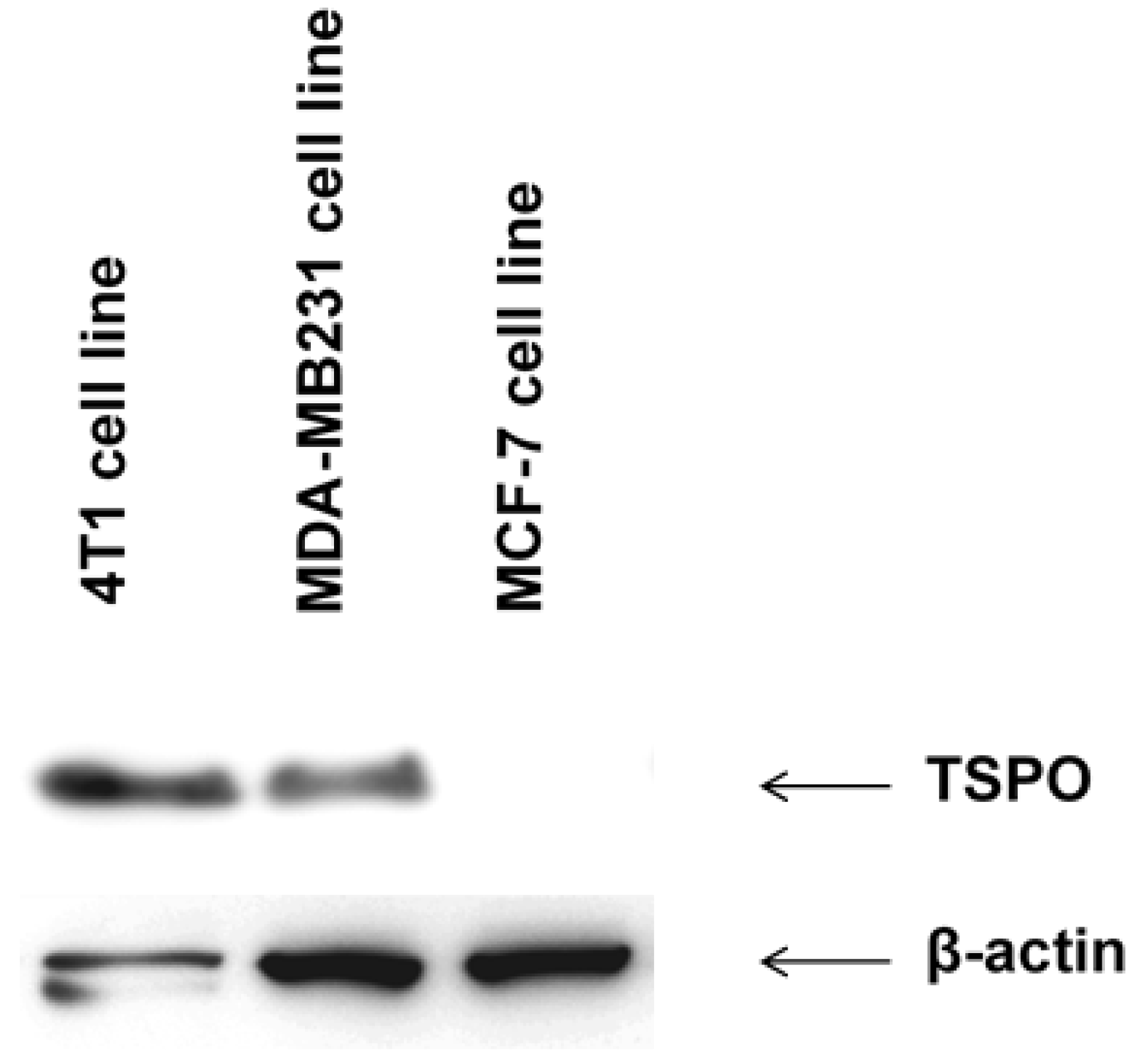 Pharmaceutics 14 02715 g010