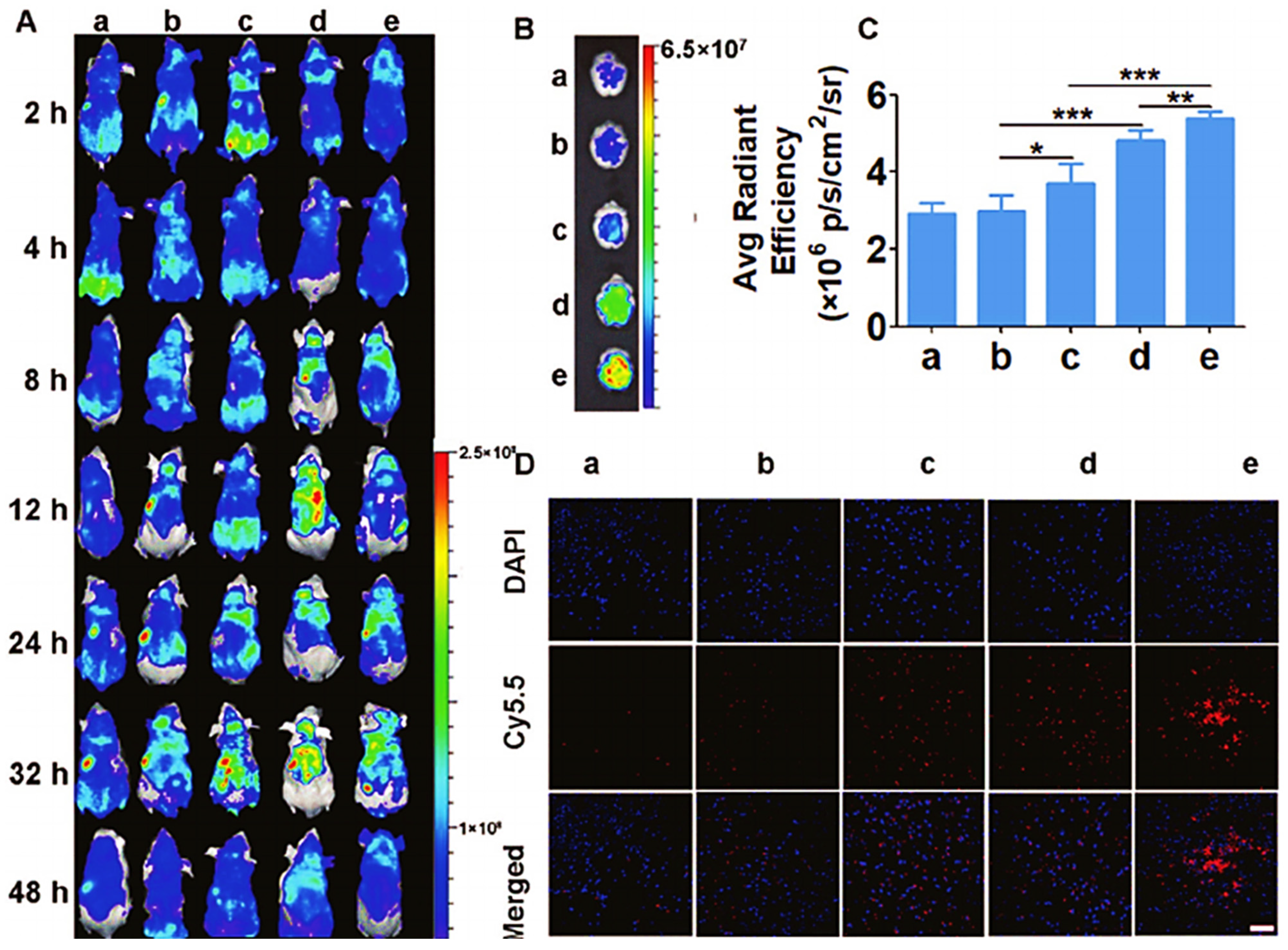 Pharmaceutics 14 02719 g005