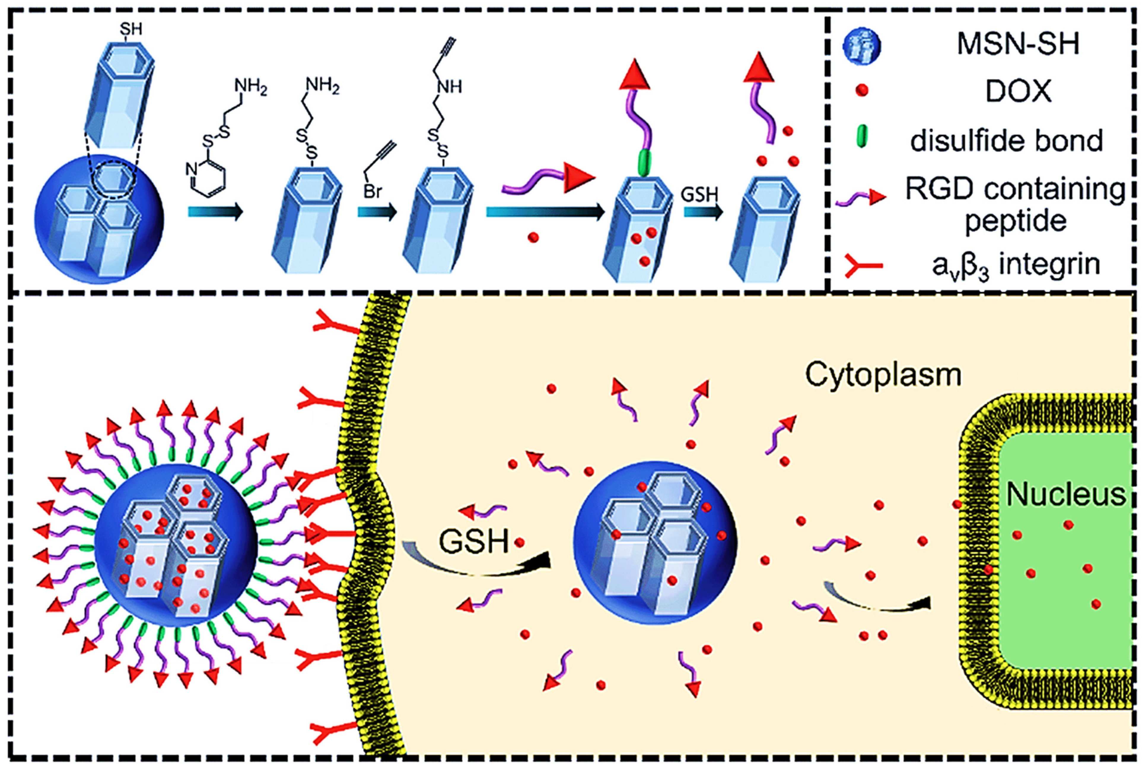Pharmaceutics 14 02719 g010