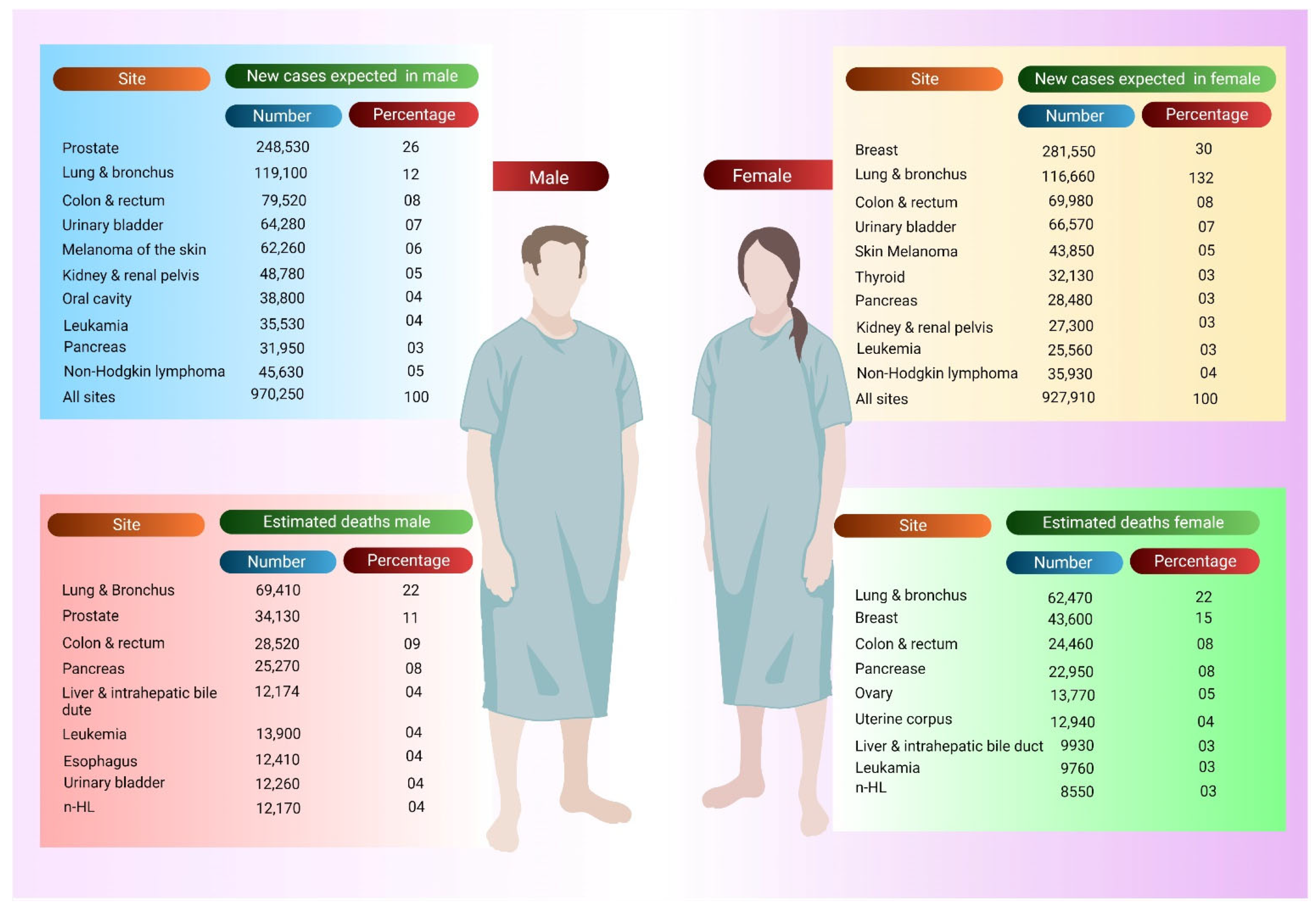 Pharmaceutics 14 02721 g001 Pharmaceutics 14 02721 g001