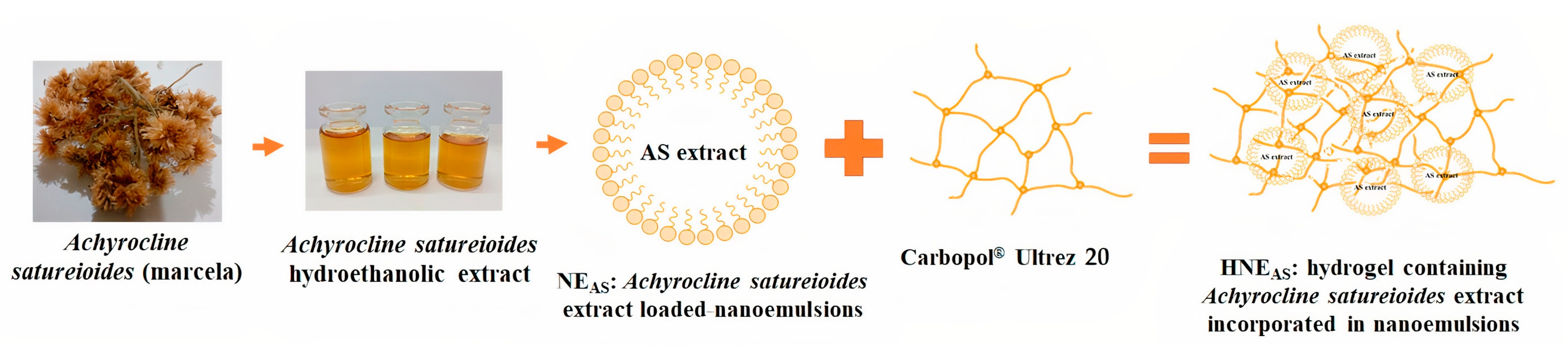 Pharmaceutics 14 02726 g001 Pharmaceutics 14 02726 g001