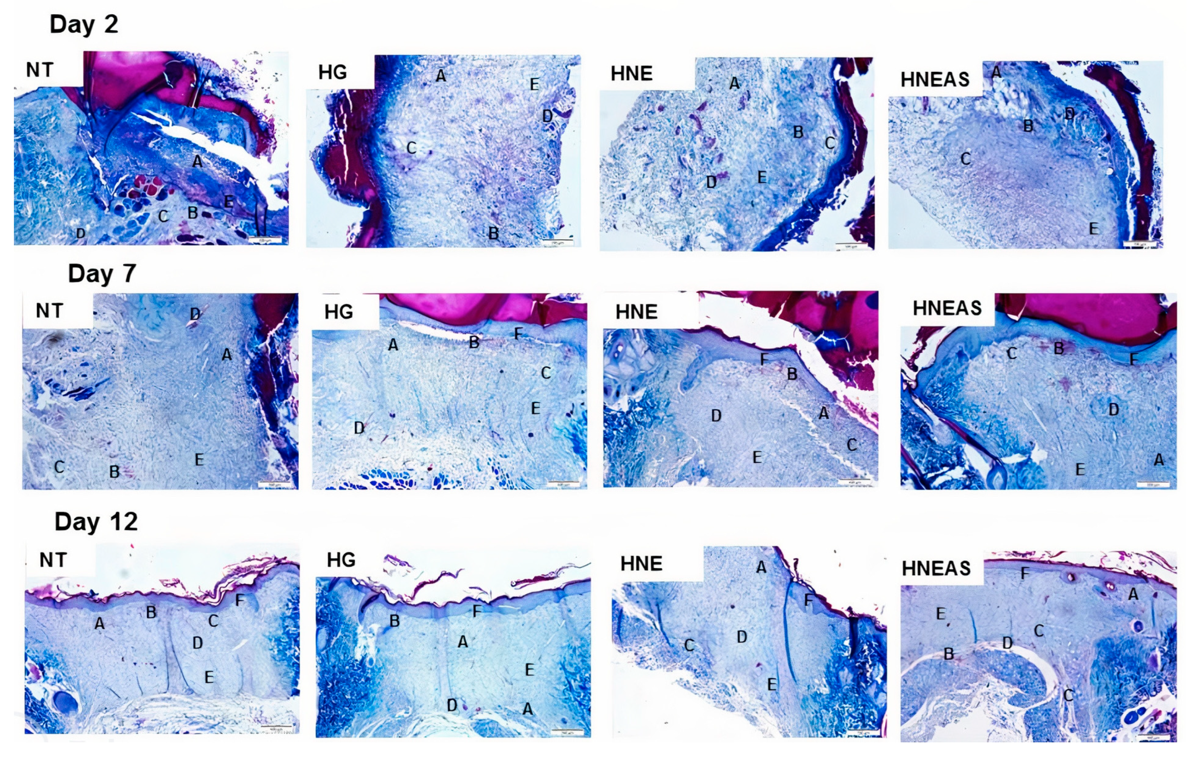 Pharmaceutics 14 02726 g004 Pharmaceutics 14 02726 g004