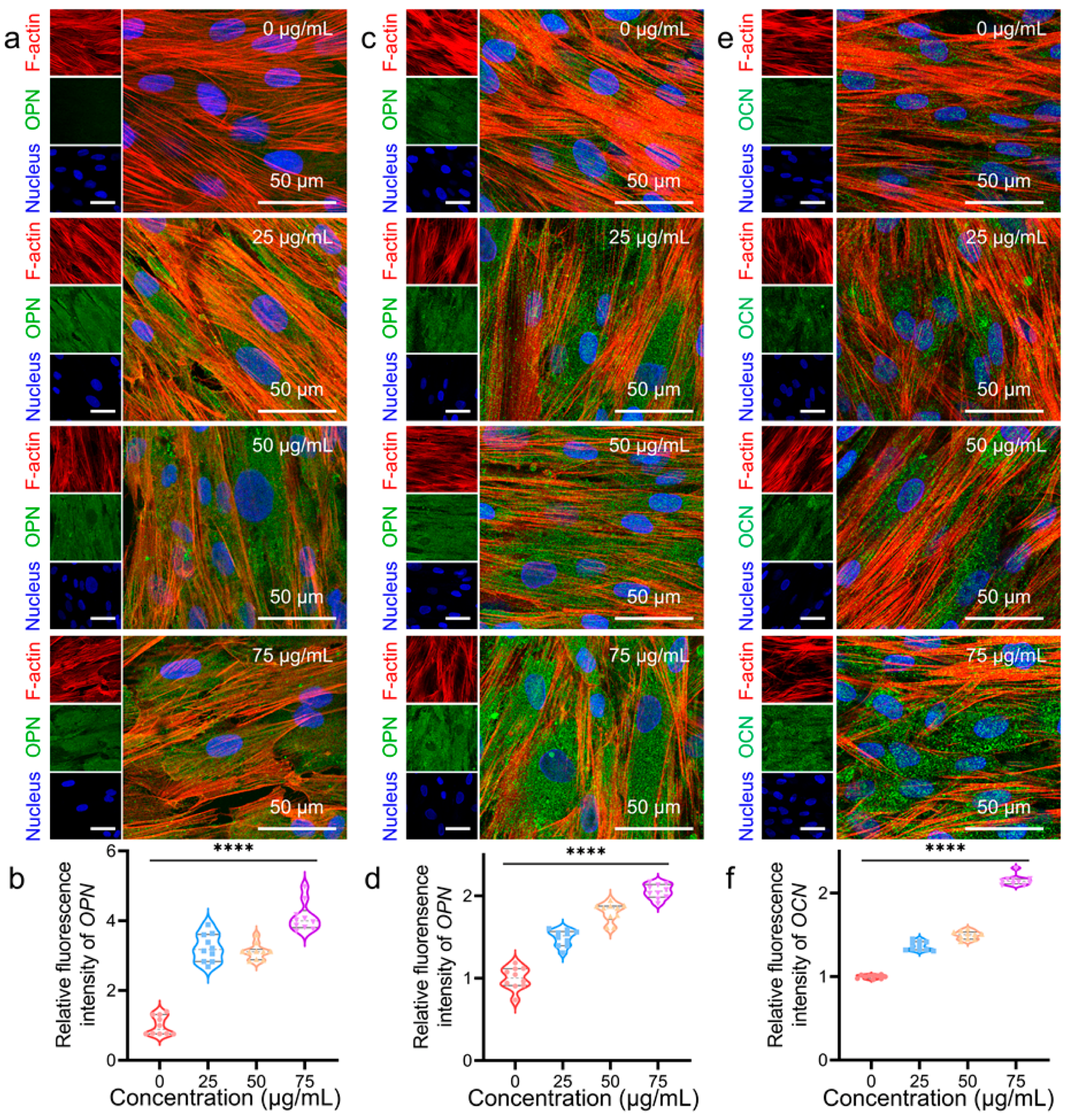 Pharmaceutics 14 02730 g005 Pharmaceutics 14 02730 g005