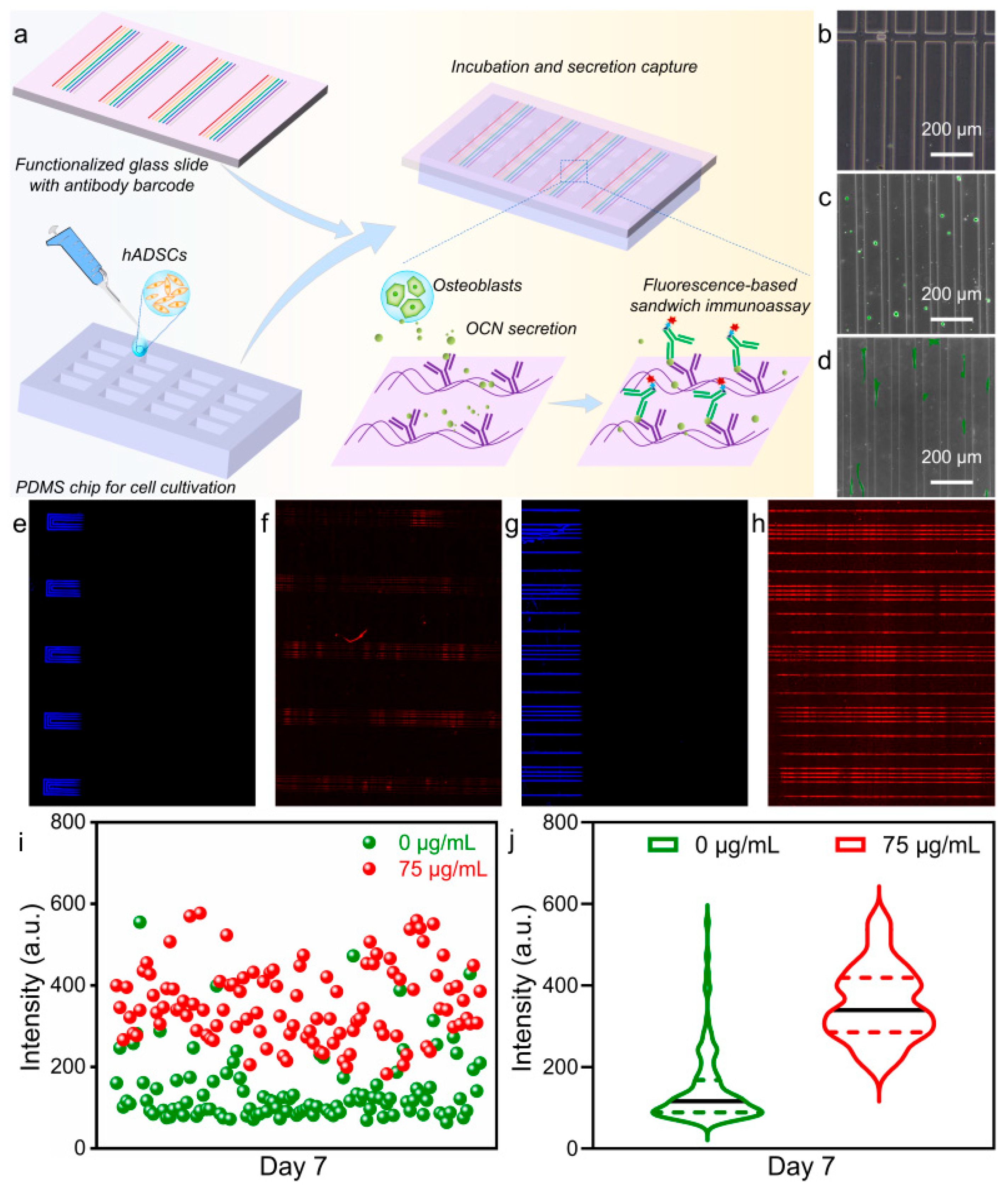 Pharmaceutics 14 02730 g007 Pharmaceutics 14 02730 g007