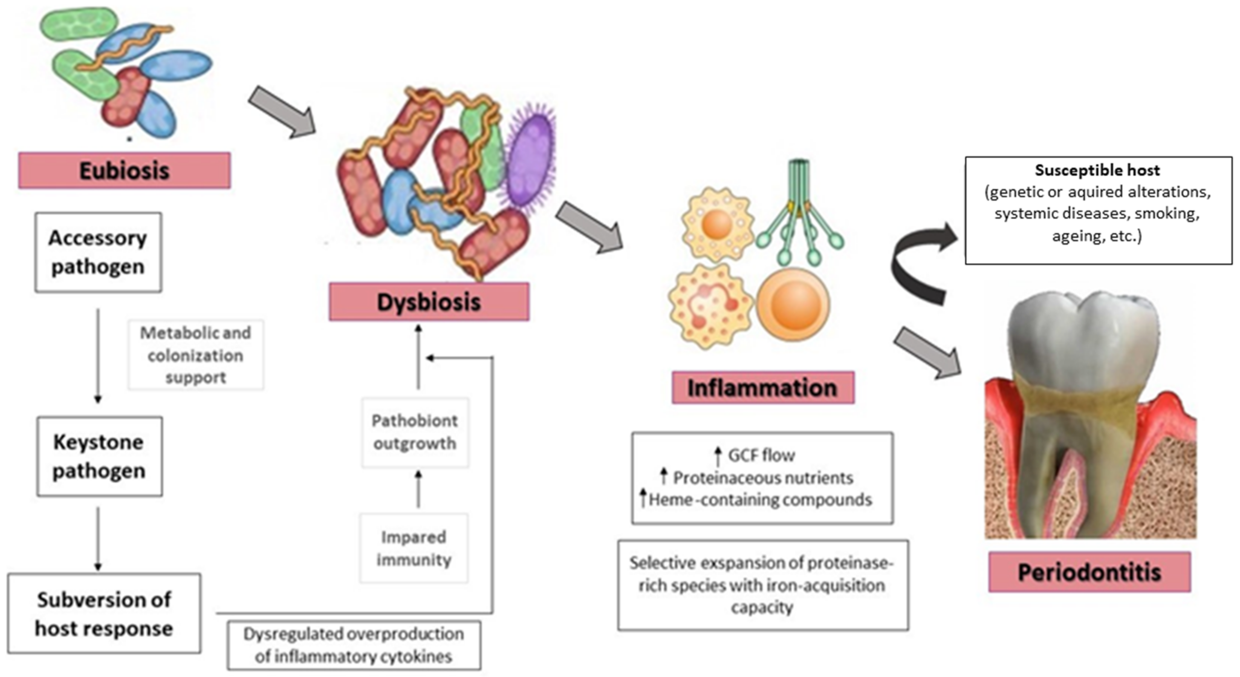 Pharmaceutics 14 02740 g002 Pharmaceutics 14 02740 g002