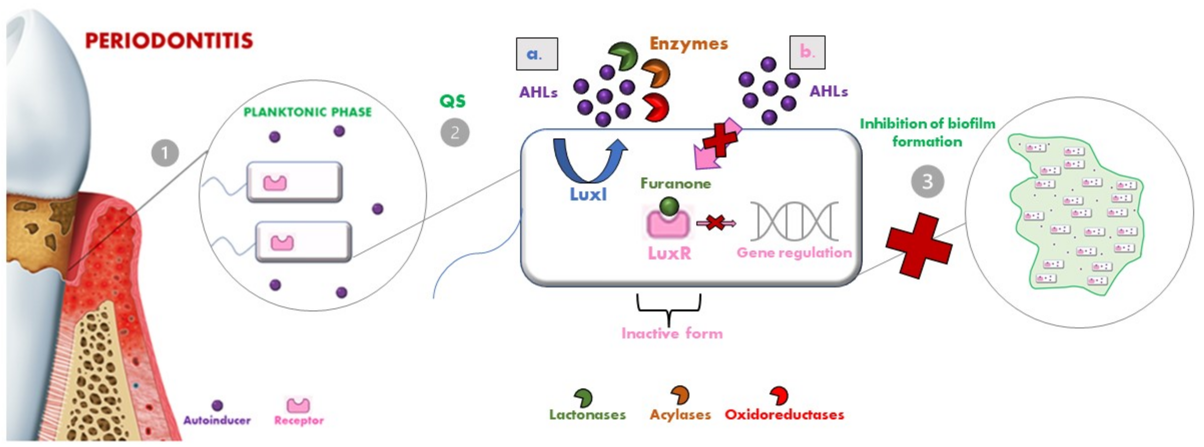Pharmaceutics 14 02740 g004 Pharmaceutics 14 02740 g004