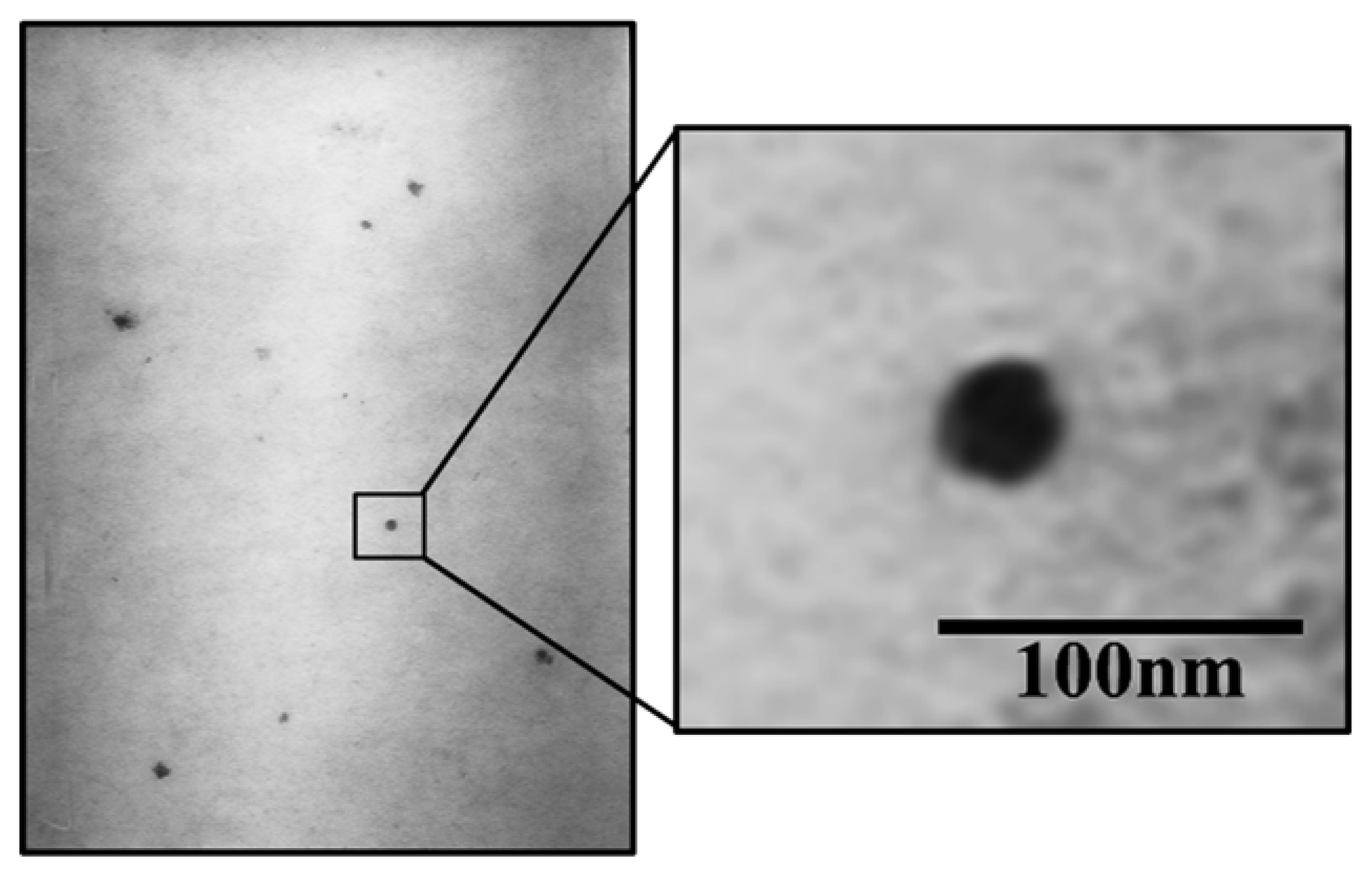 Pharmaceutics 14 02741 g005 Pharmaceutics 14 02741 g005