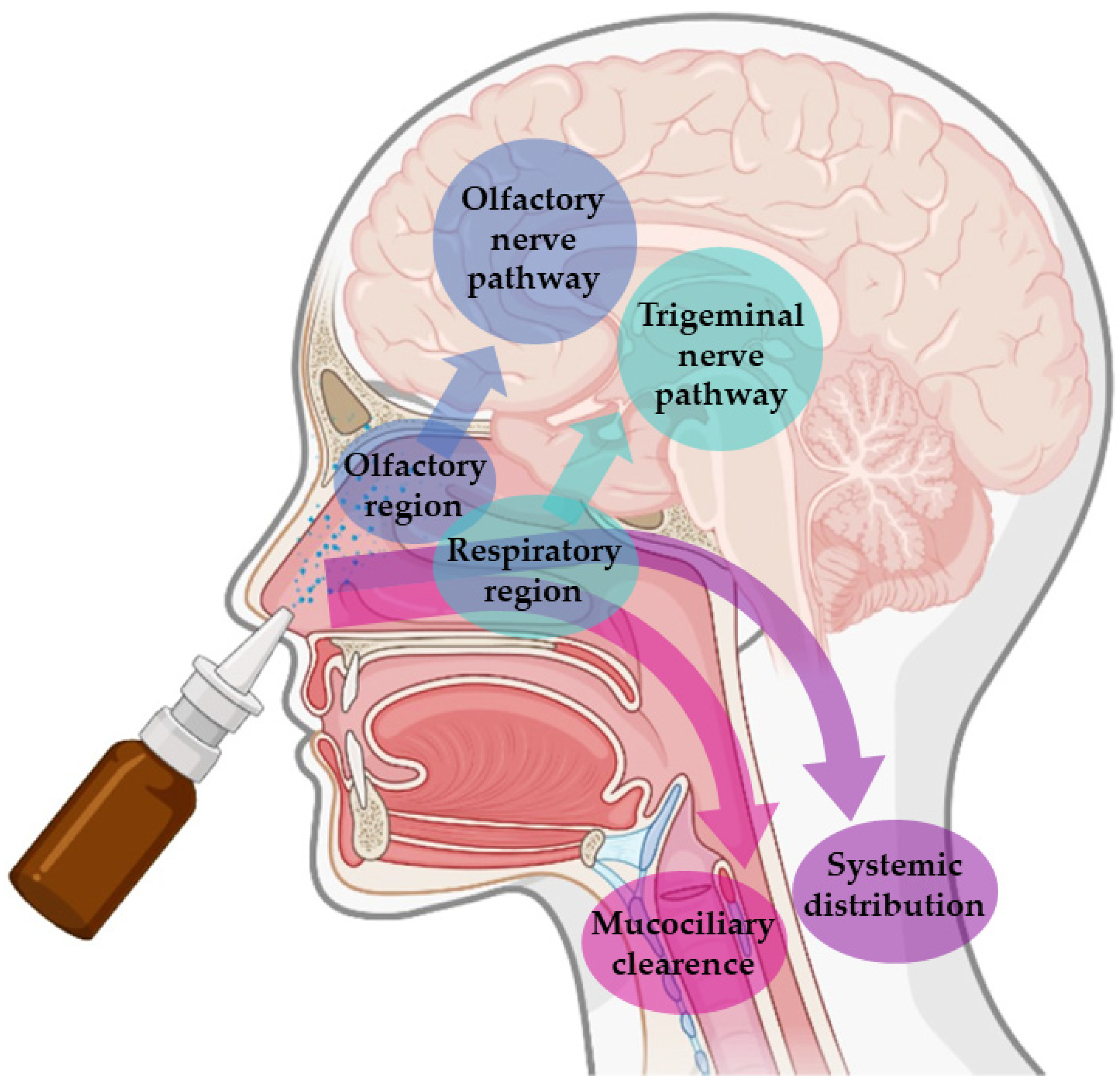 Pharmaceutics 14 02742 g001 550