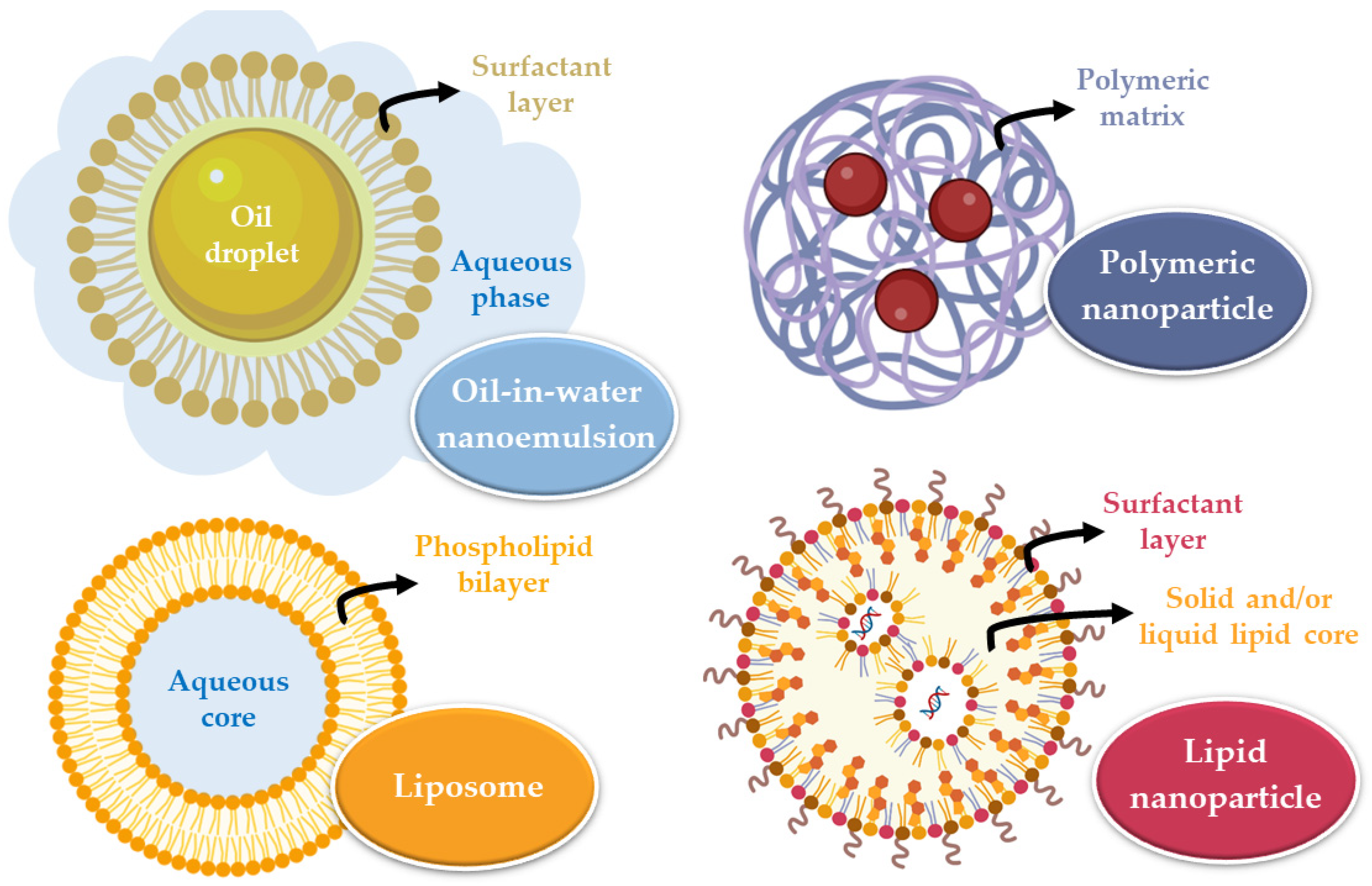 Pharmaceutics 14 02742 g002