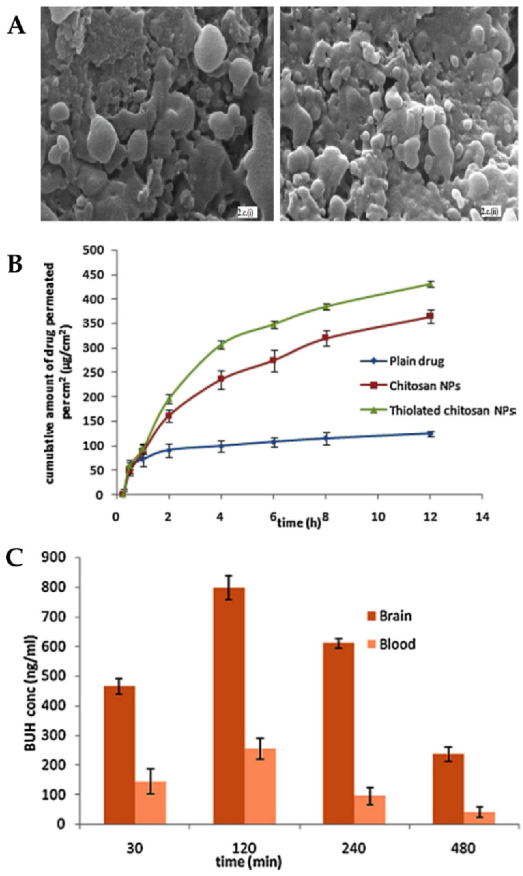 Pharmaceutics 14 02742 g006