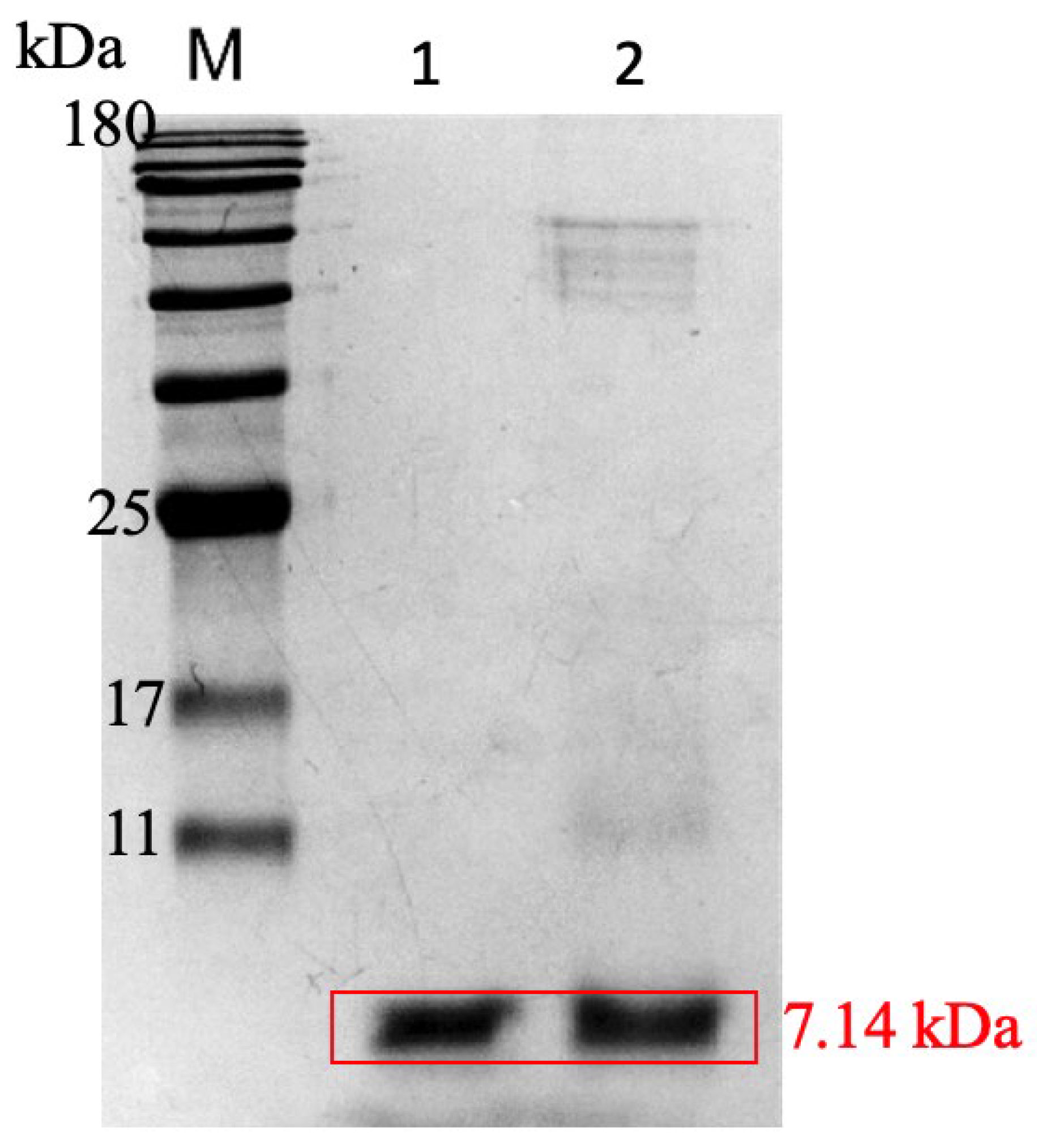 Pharmaceutics 14 02744 g002 Pharmaceutics 14 02744 g002