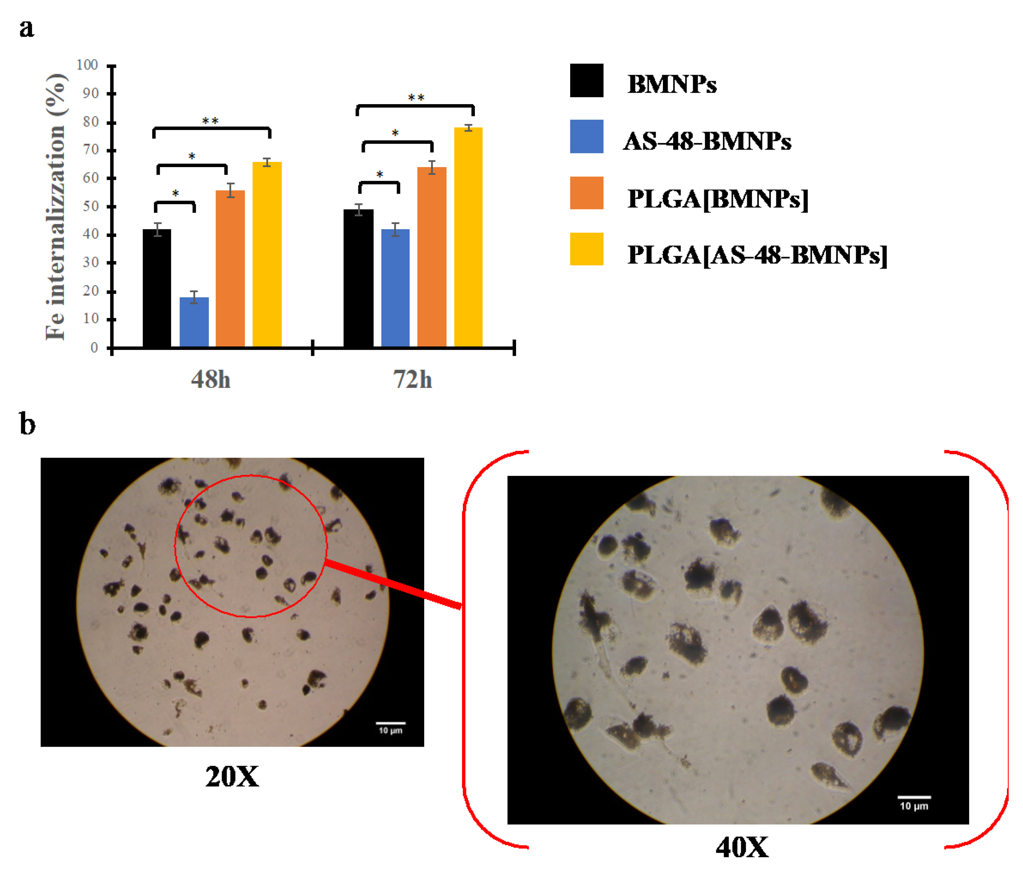 Pharmaceutics 14 02744 g006 Pharmaceutics 14 02744 g006