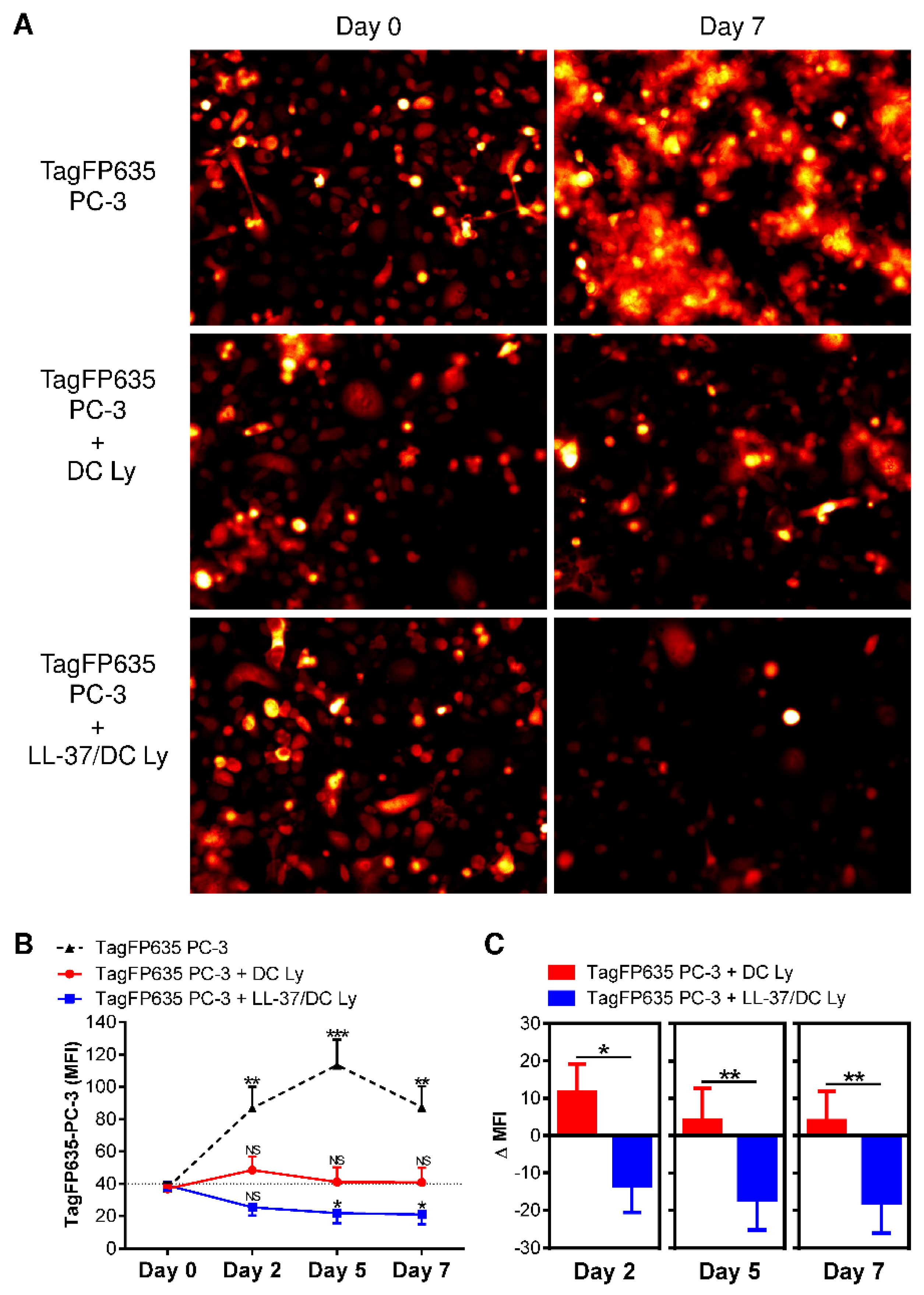 Pharmaceutics 14 02747 g006 Pharmaceutics 14 02747 g006