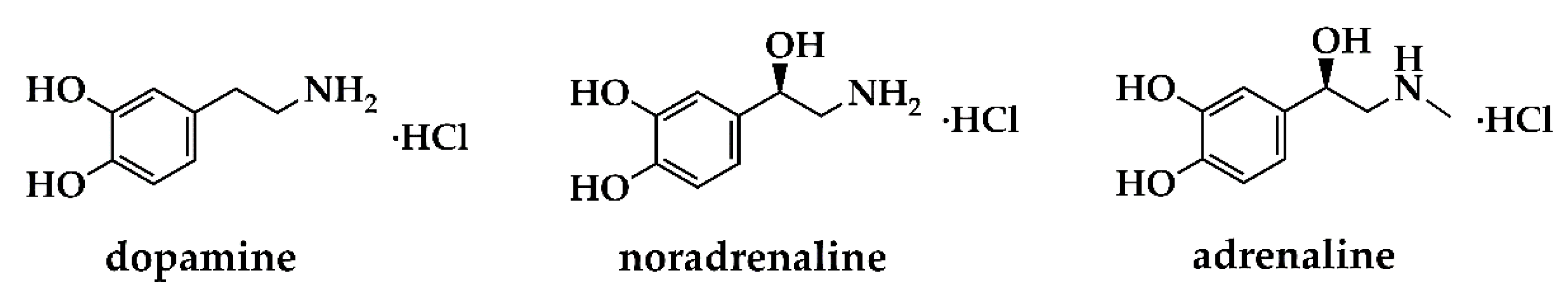 Pharmaceutics 14 02748 g003 Pharmaceutics 14 02748 g003