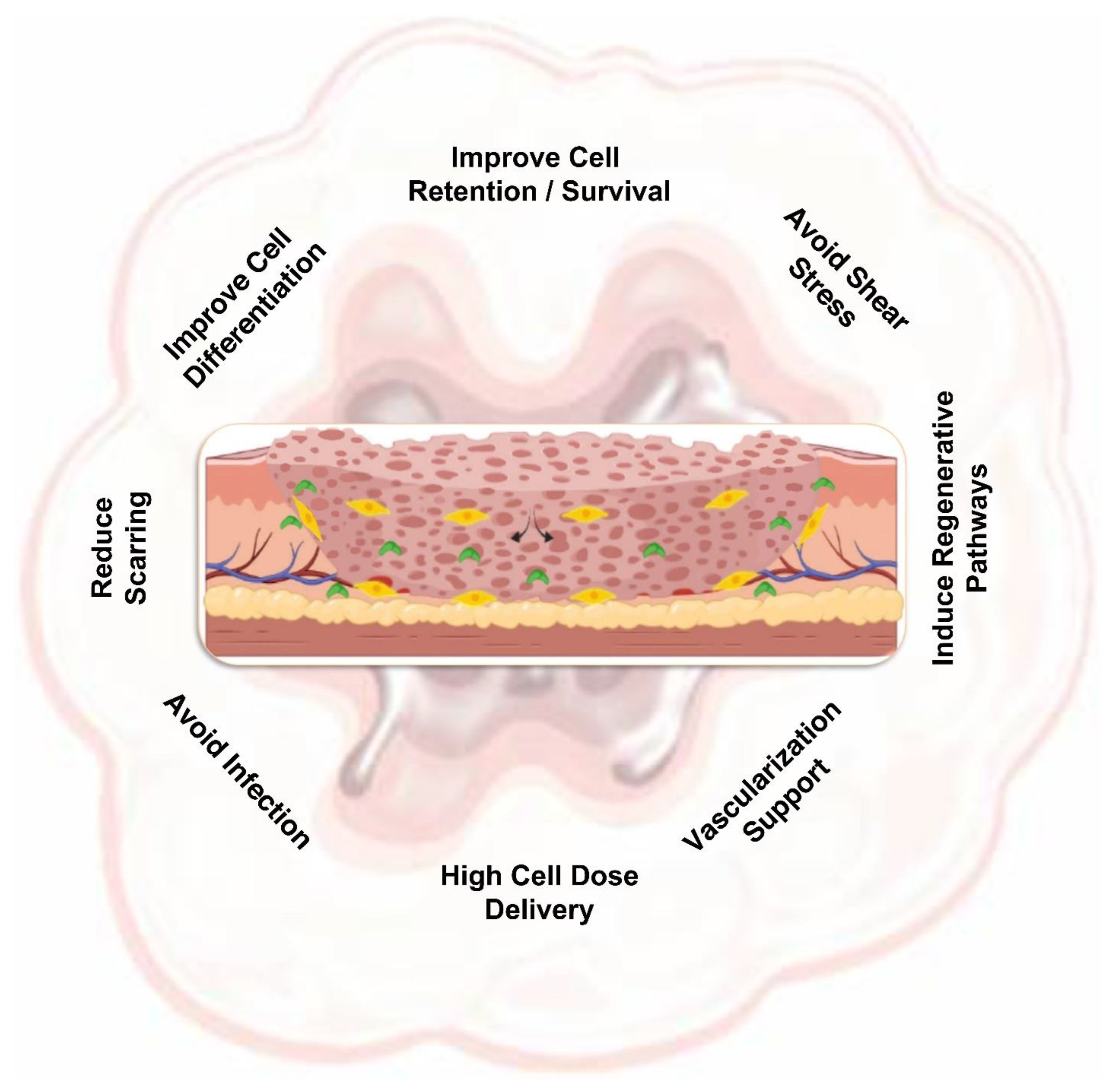 Pharmaceutics | Free Full-Text | Convergence of Biofabrication 