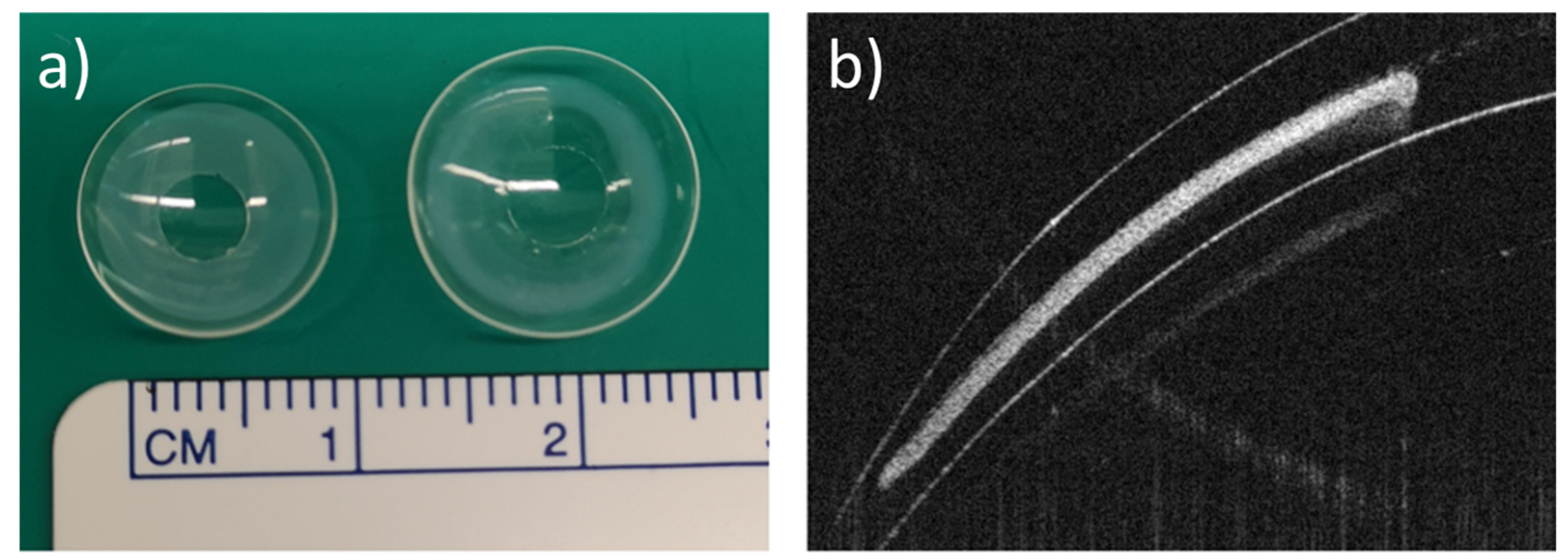 Pharmaceutics 14 02750 g001 Pharmaceutics 14 02750 g001