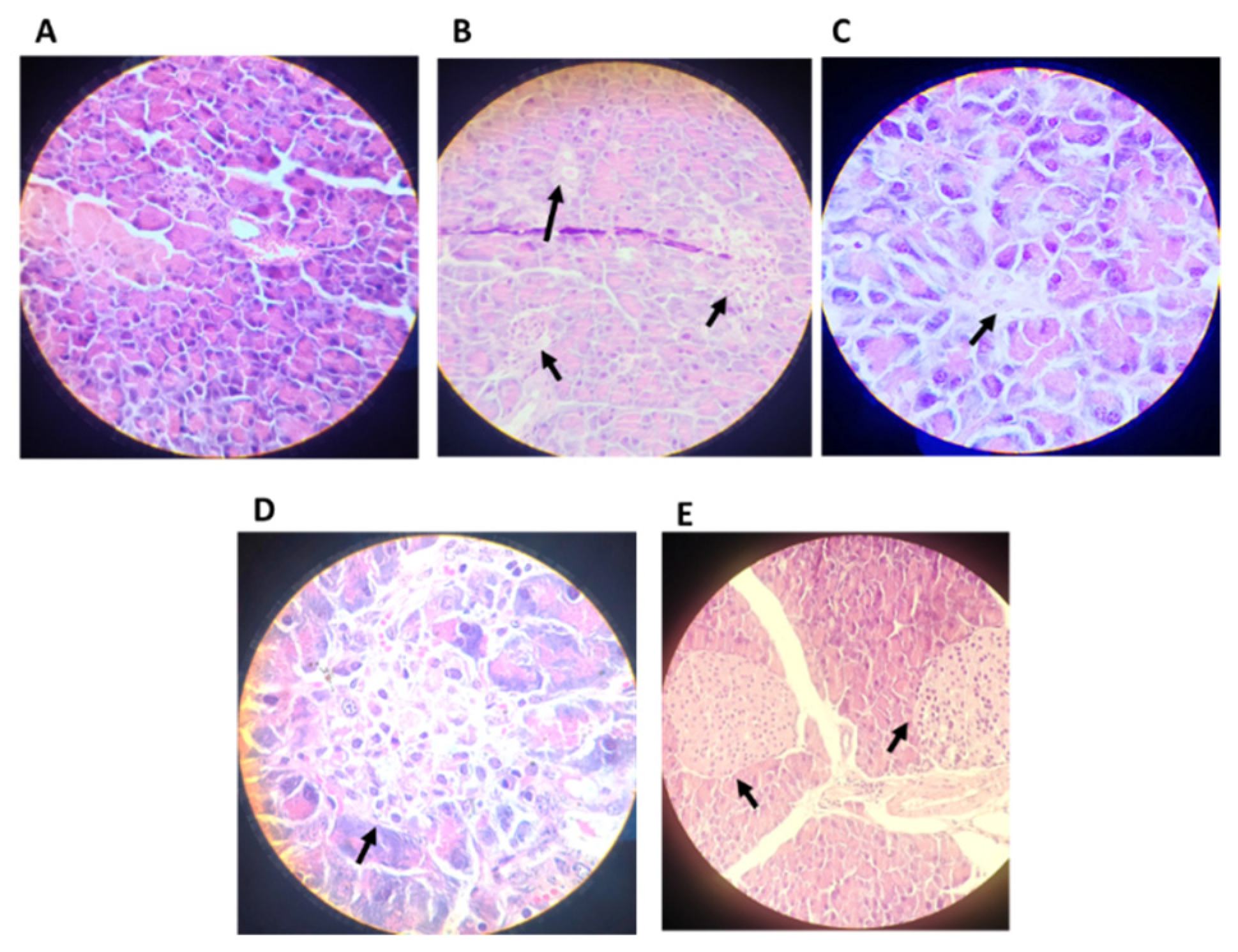 Pharmaceutics 14 02758 g007