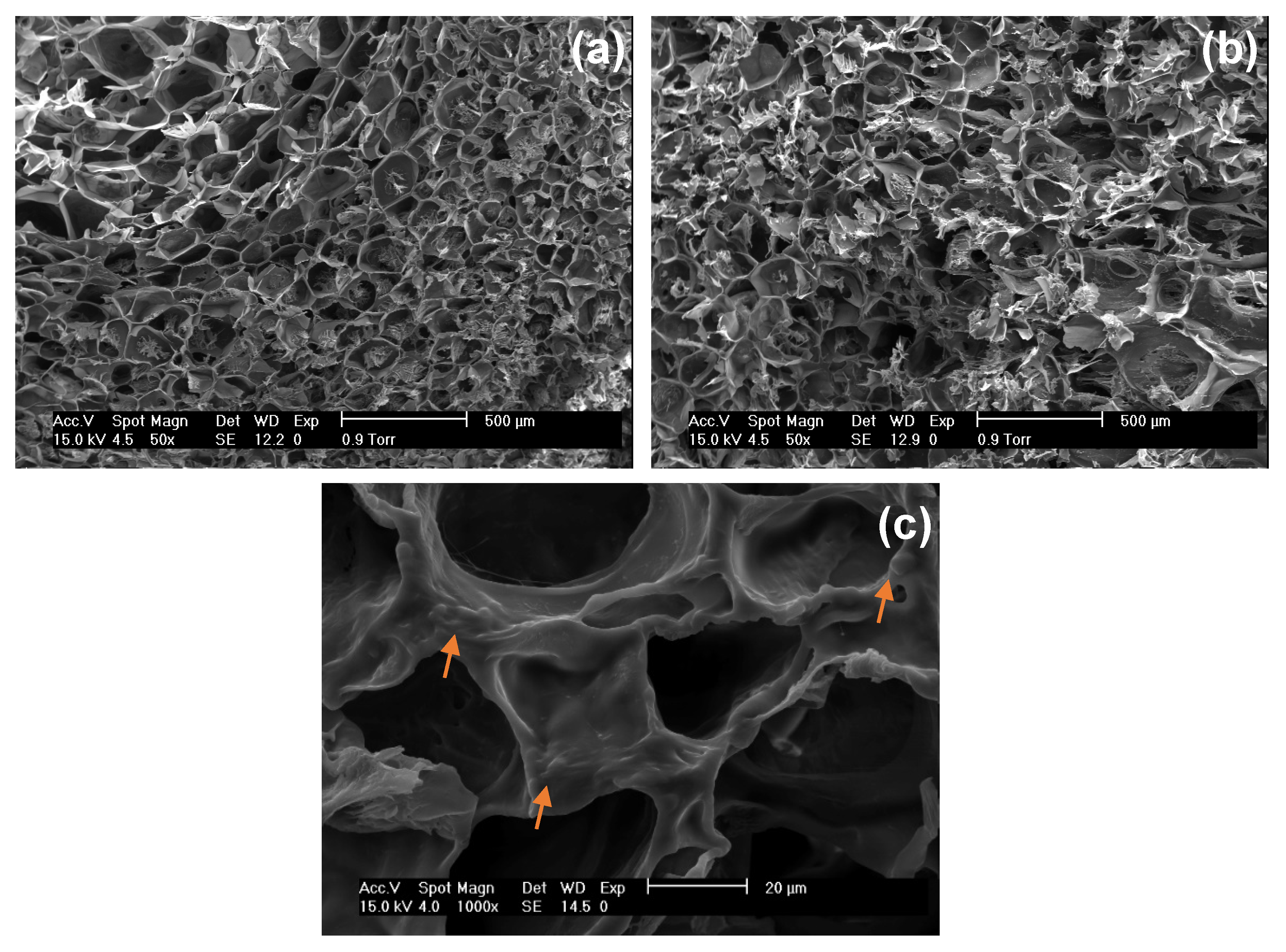 Pharmaceutics 14 02759 g001 Pharmaceutics 14 02759 g001