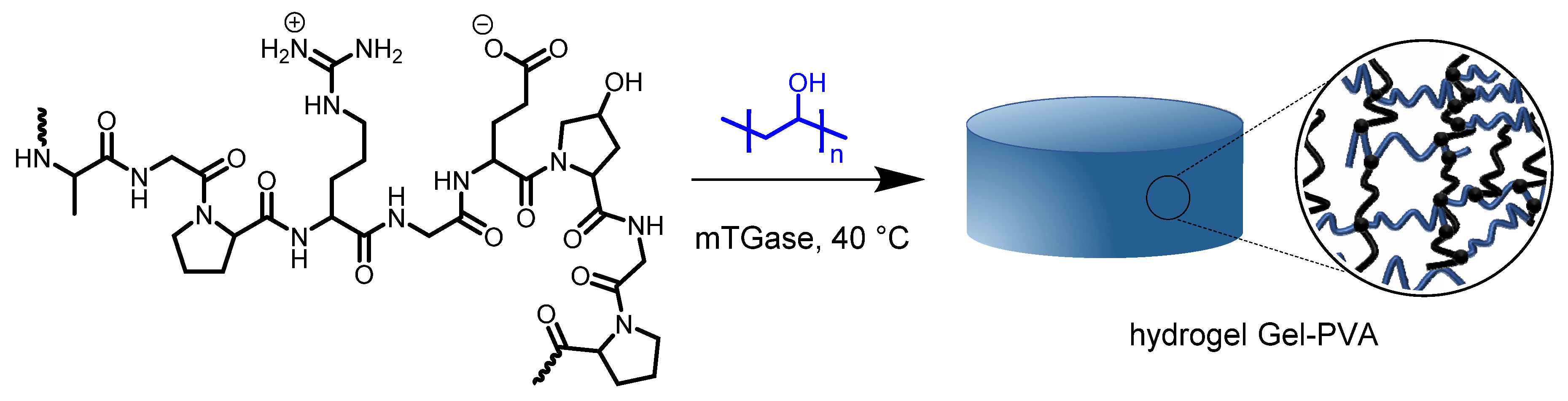 Pharmaceutics 14 02759 sch001 Pharmaceutics 14 02759 sch001