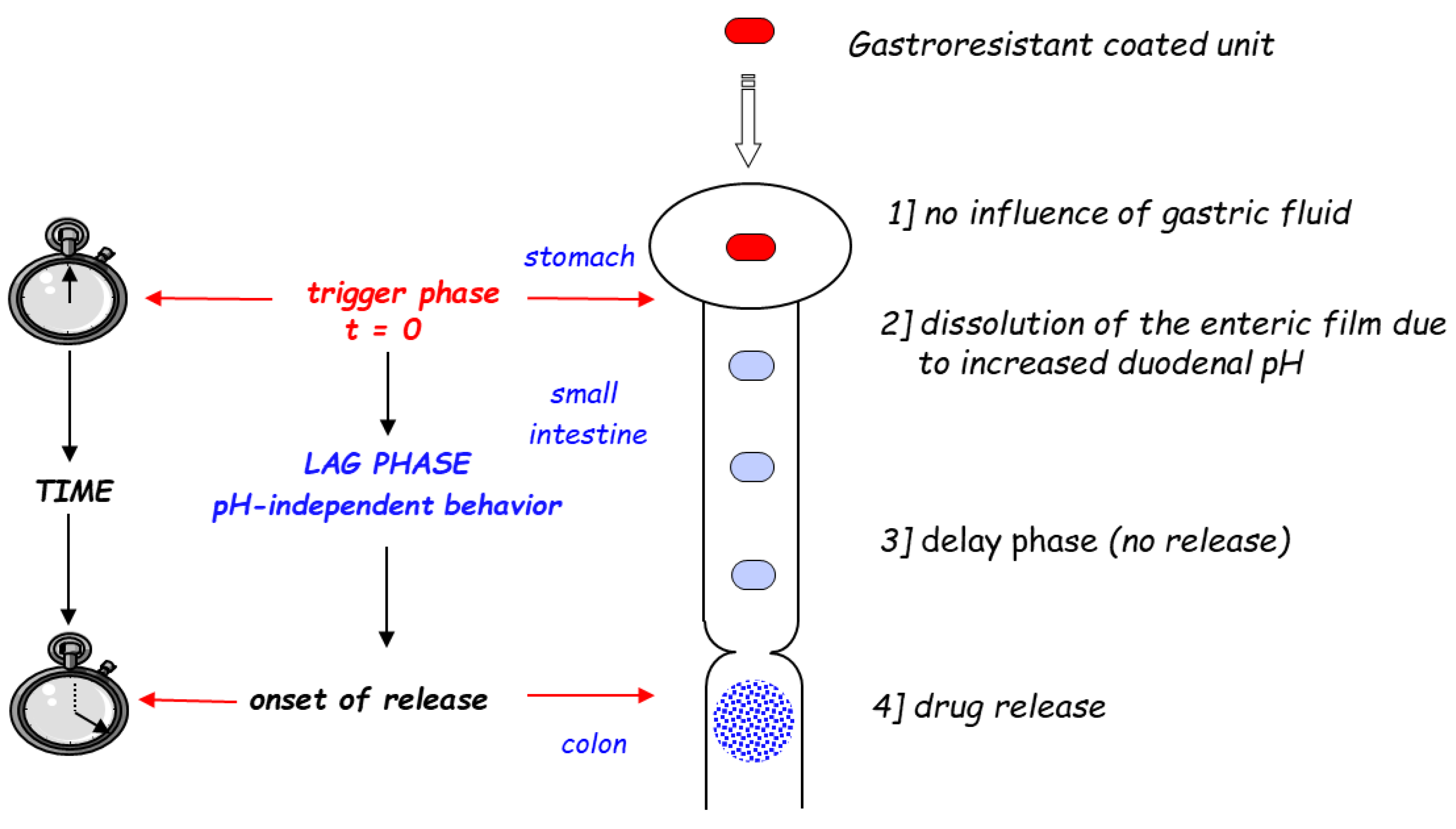 Pharmaceutics 14 02762 g003 Pharmaceutics 14 02762 g003