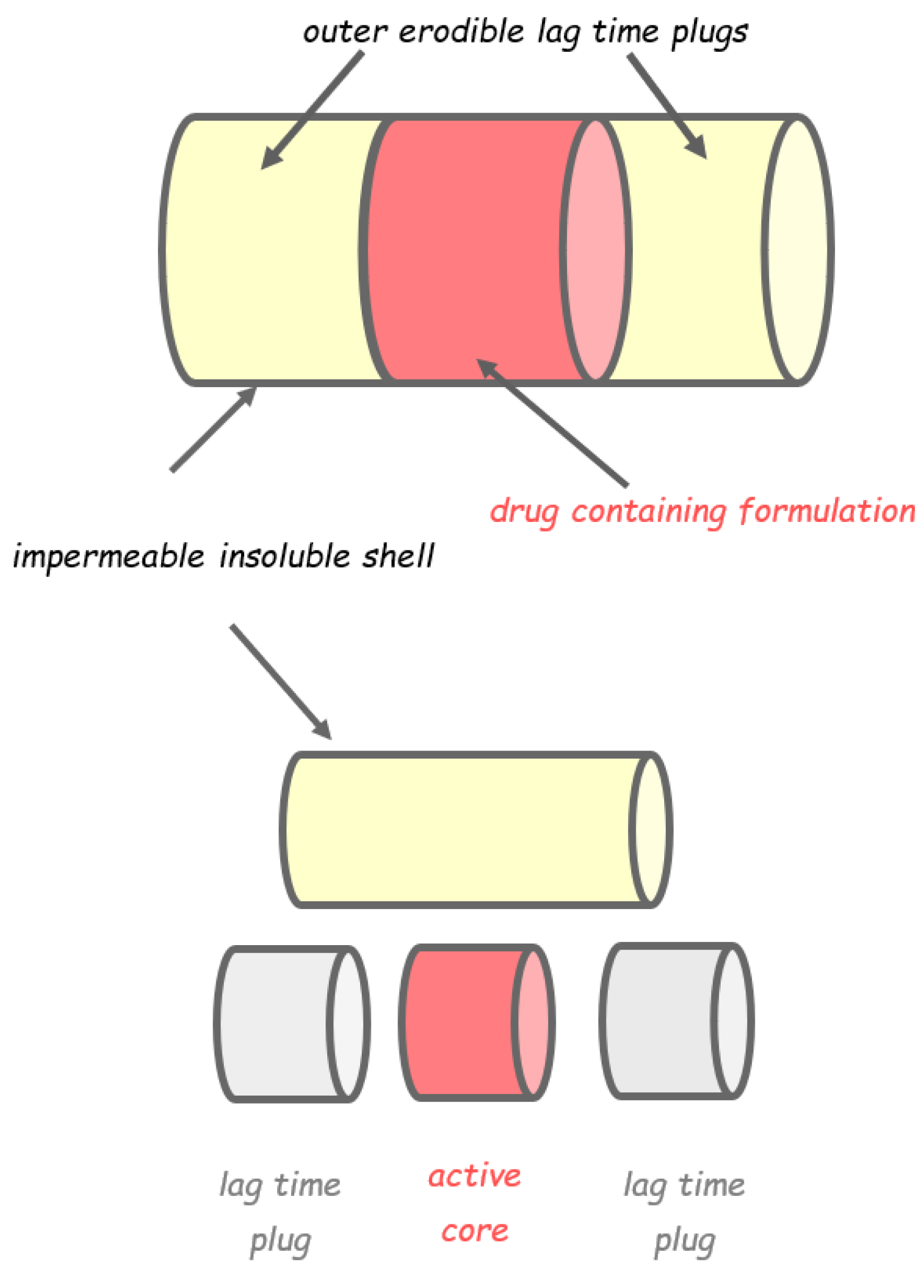 Pharmaceutics 14 02762 g011 Pharmaceutics 14 02762 g011